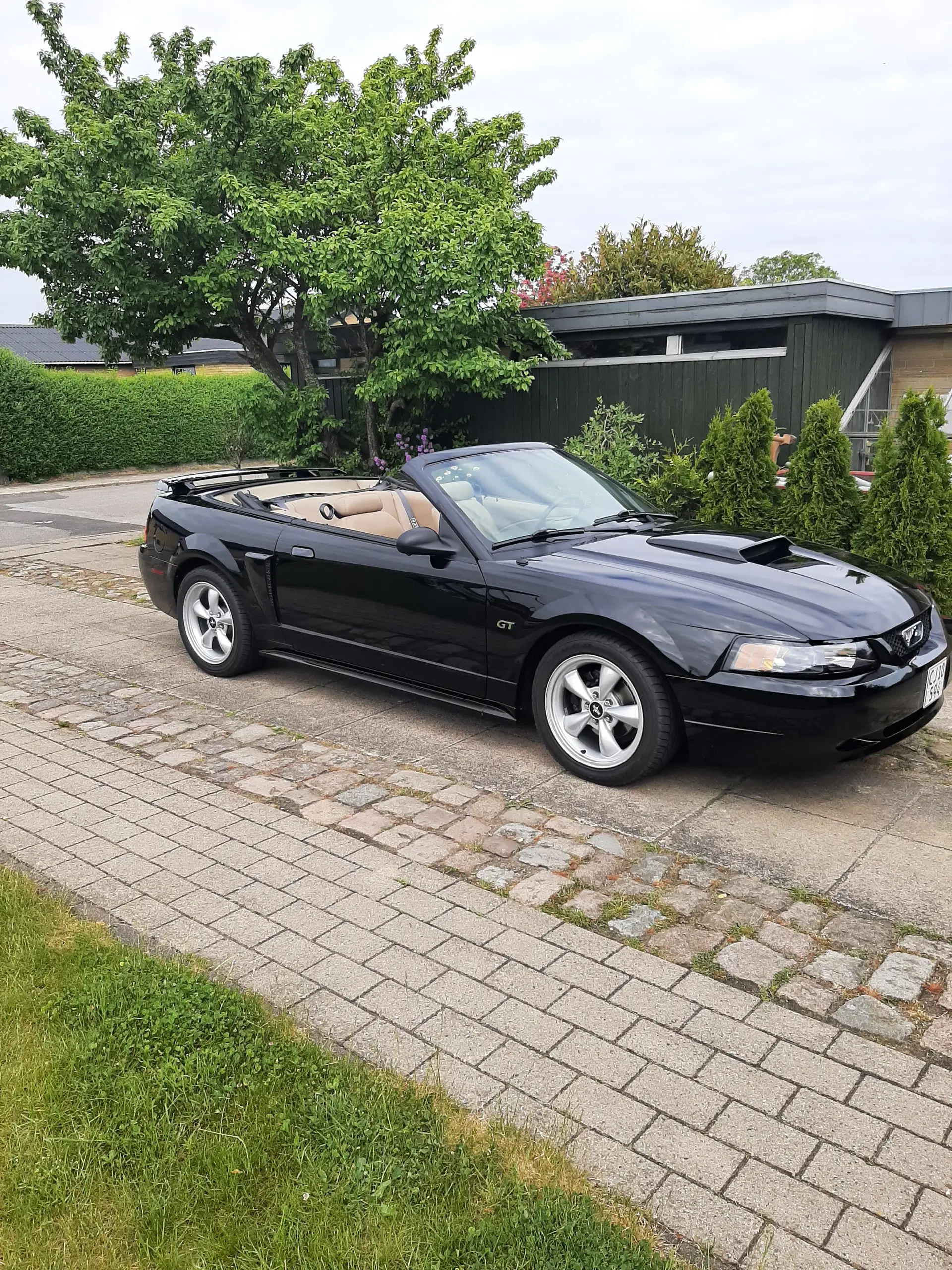 Ford mustang cabriolet