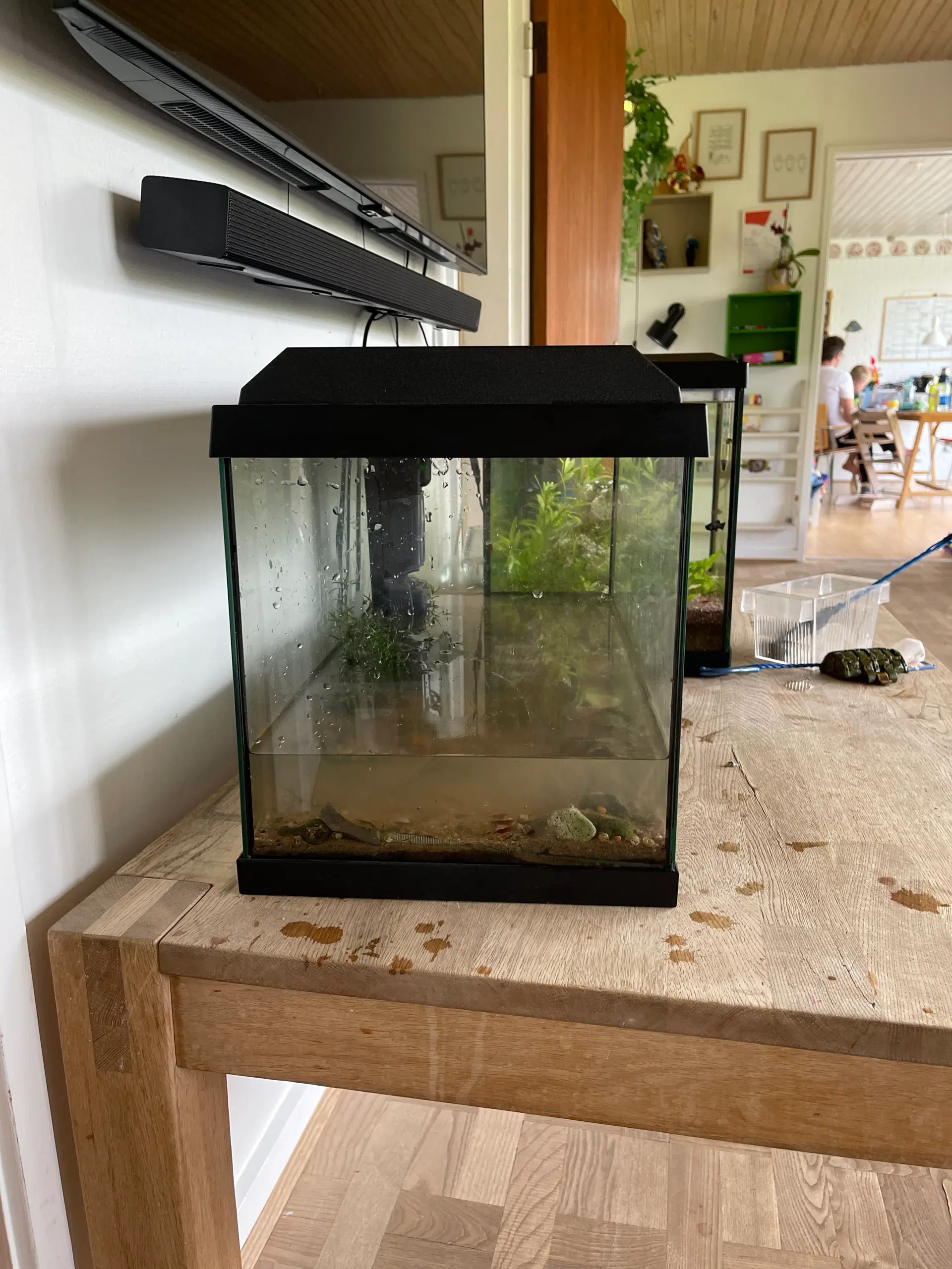 Akvarium inkl filter lys termometer