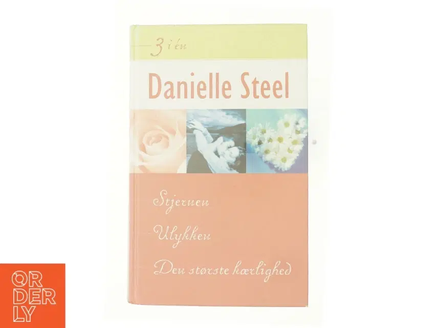 Stjernen Ulykken og den største kærlighed af Danielle Steel (Bog)