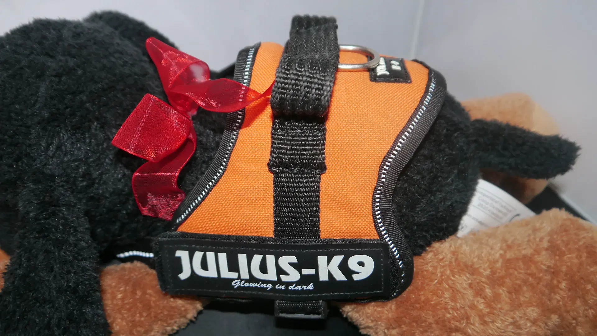 Hundesele Julius - k9 S mini mini + Hundesnor  B