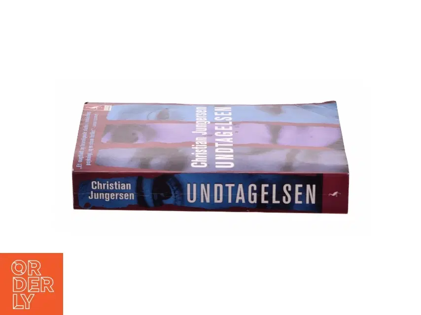 Undtagelsen af Christian Jungersen (Bog)