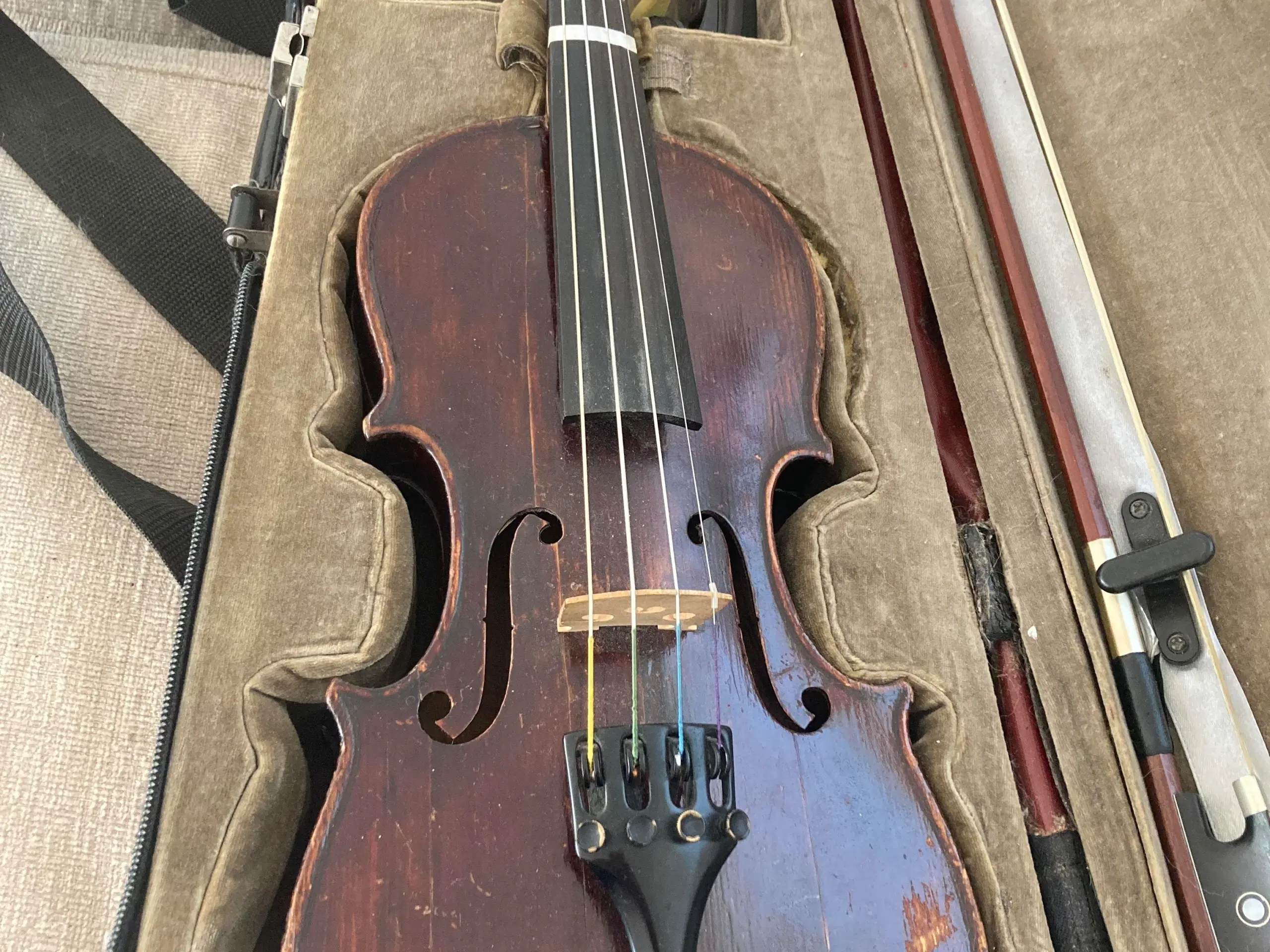 Violin