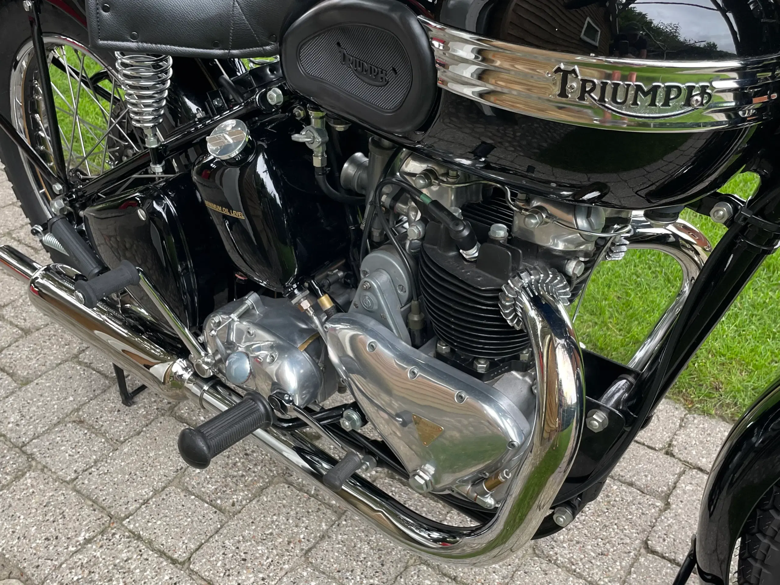 Triumph Speed Twin