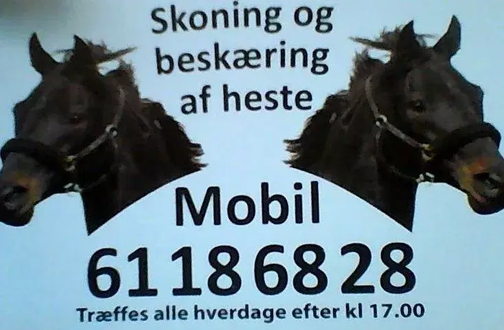 SKONING og BESKÆRING af Heste