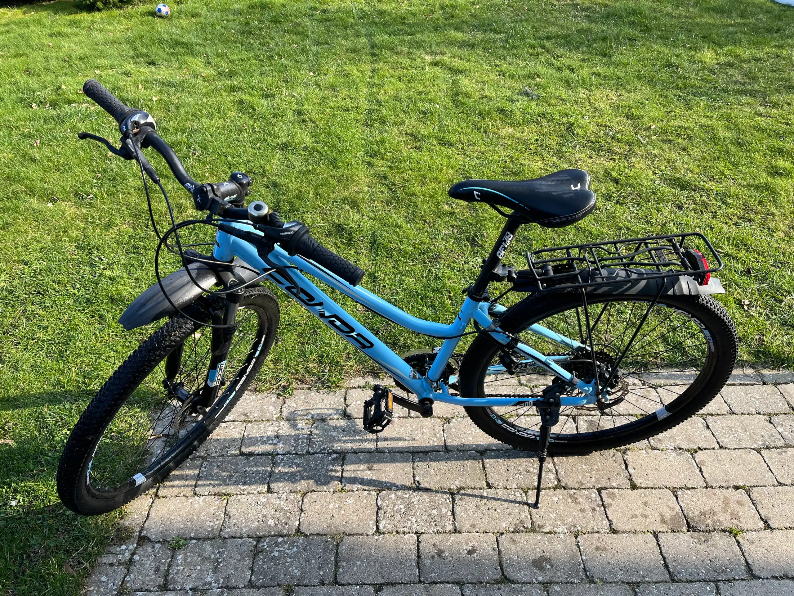 Pigecykel