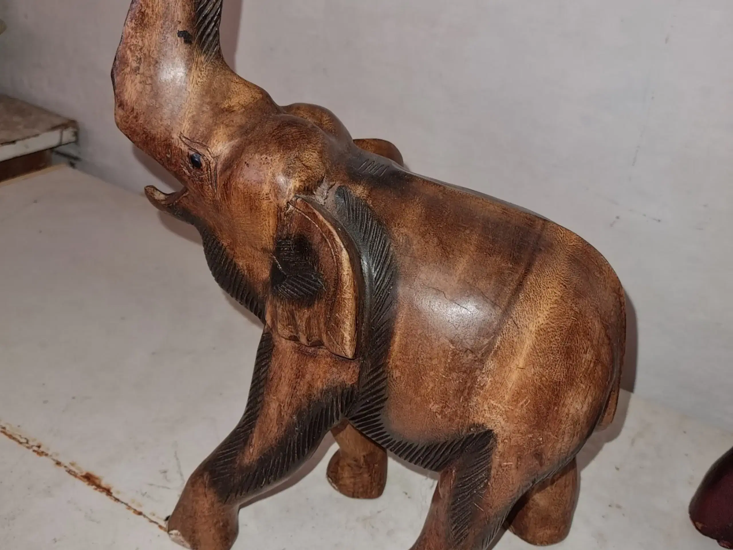 Elefant