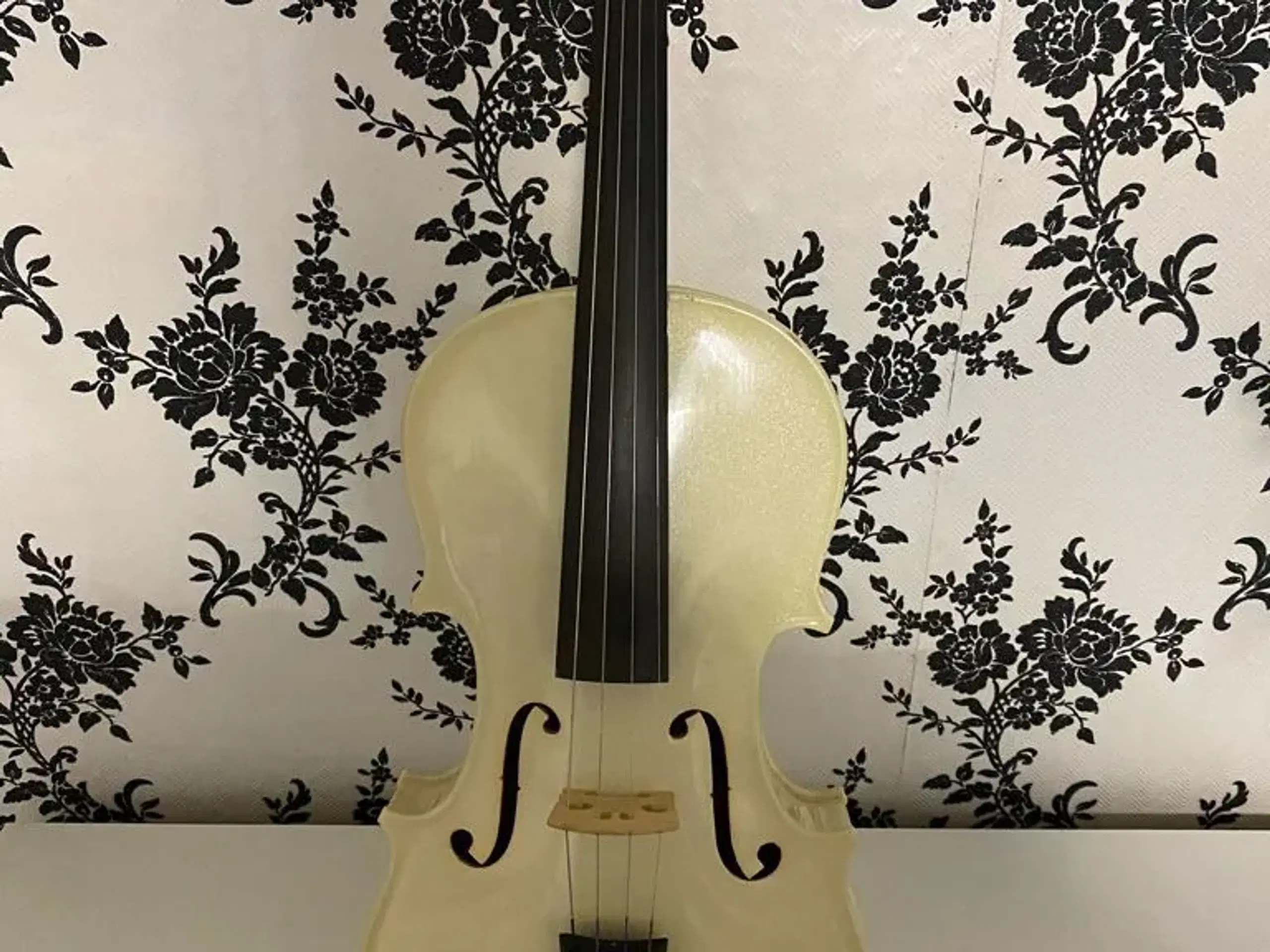 Violin