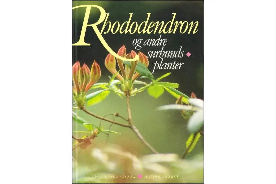 Rhododendron og andre Surbundsplanter