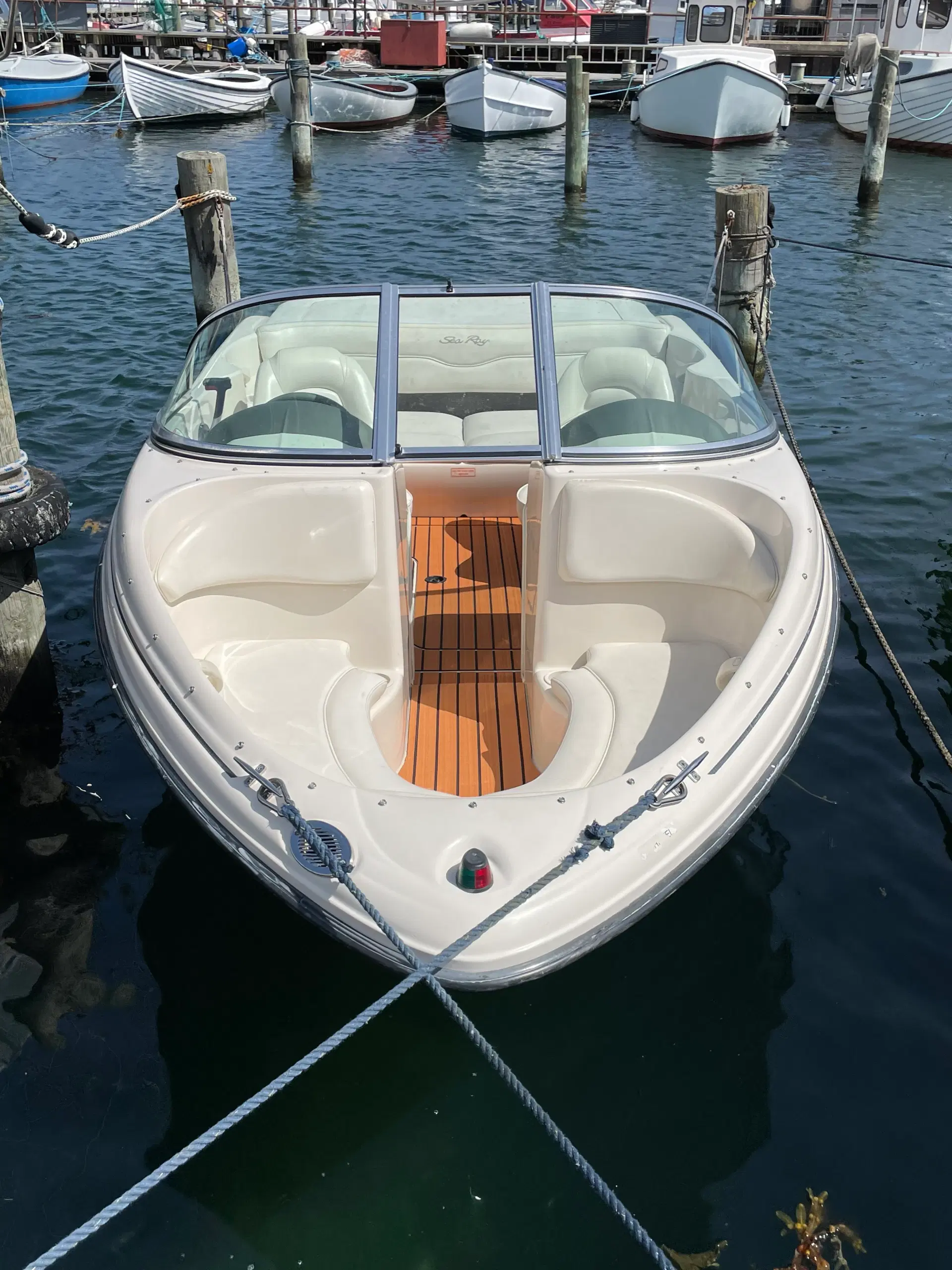 Sea Ray 175 Sport 2007