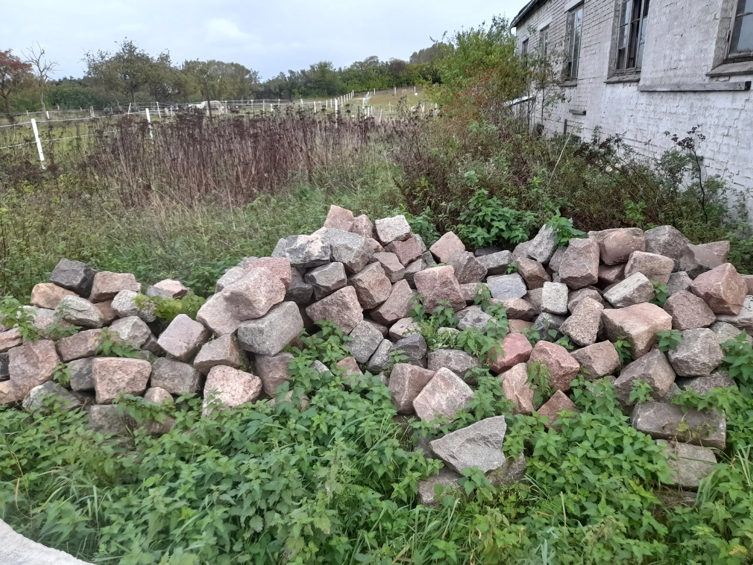 200 år gamle hånd huggede brosten