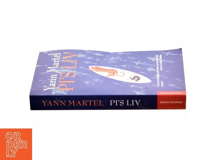 Pi's liv : roman af Yann Martel (Bog)