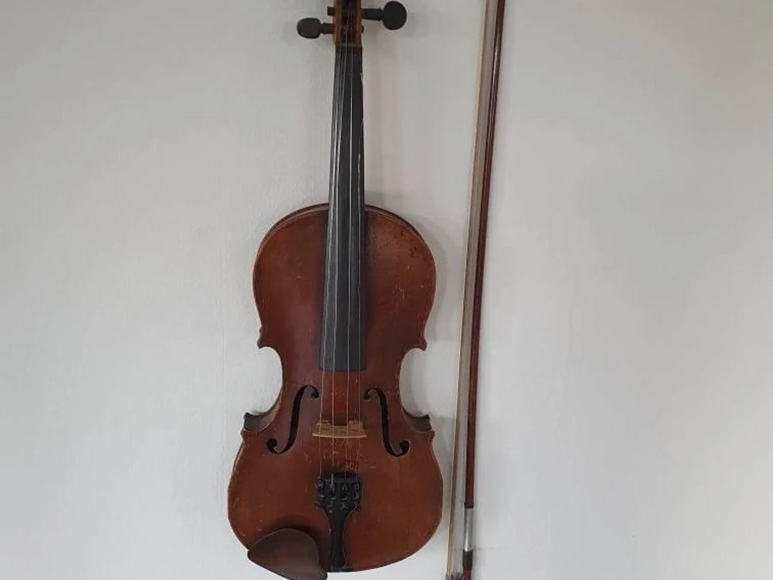 Violin