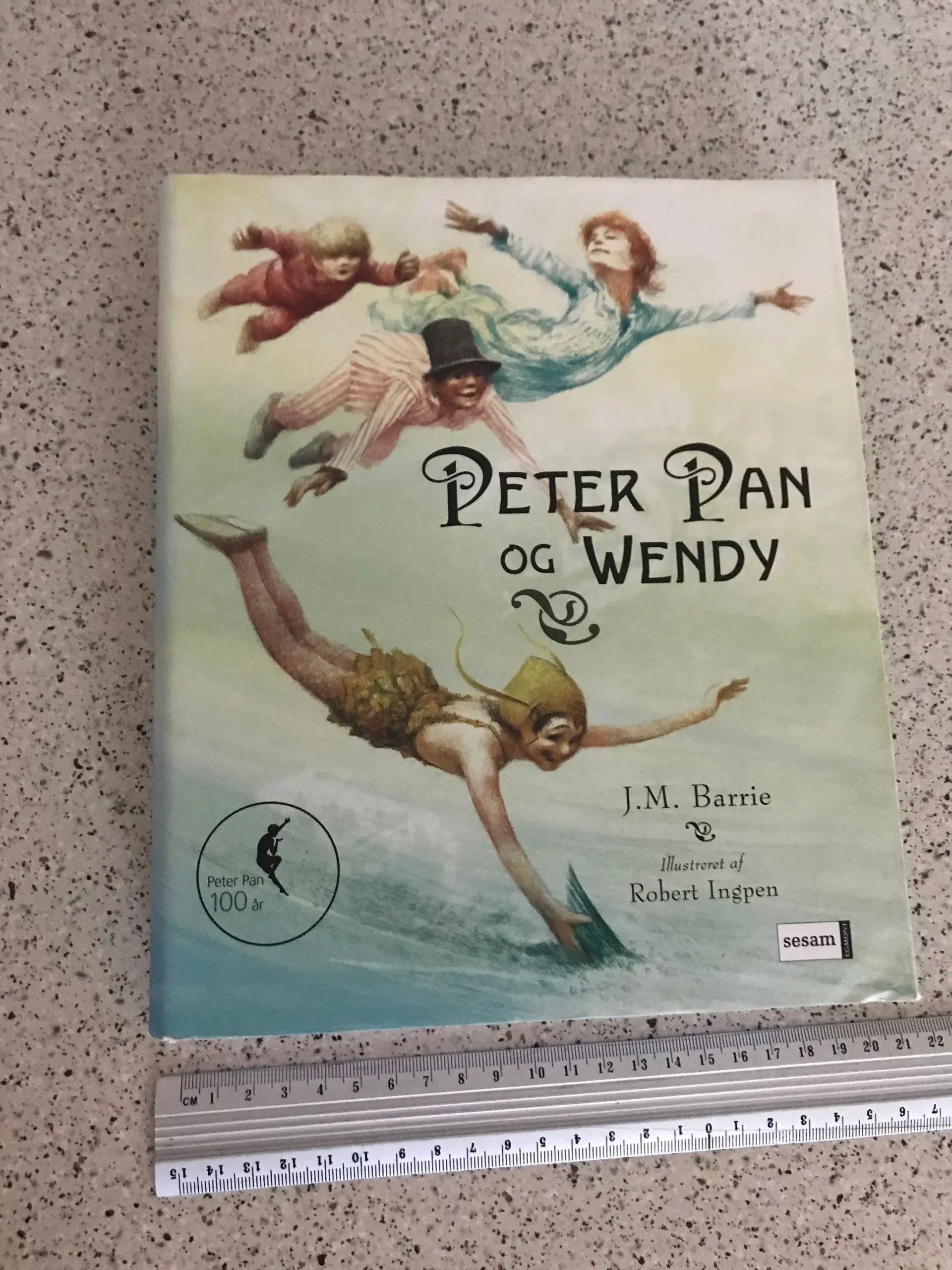 Peter Pan og Wendy JM Barrie bog