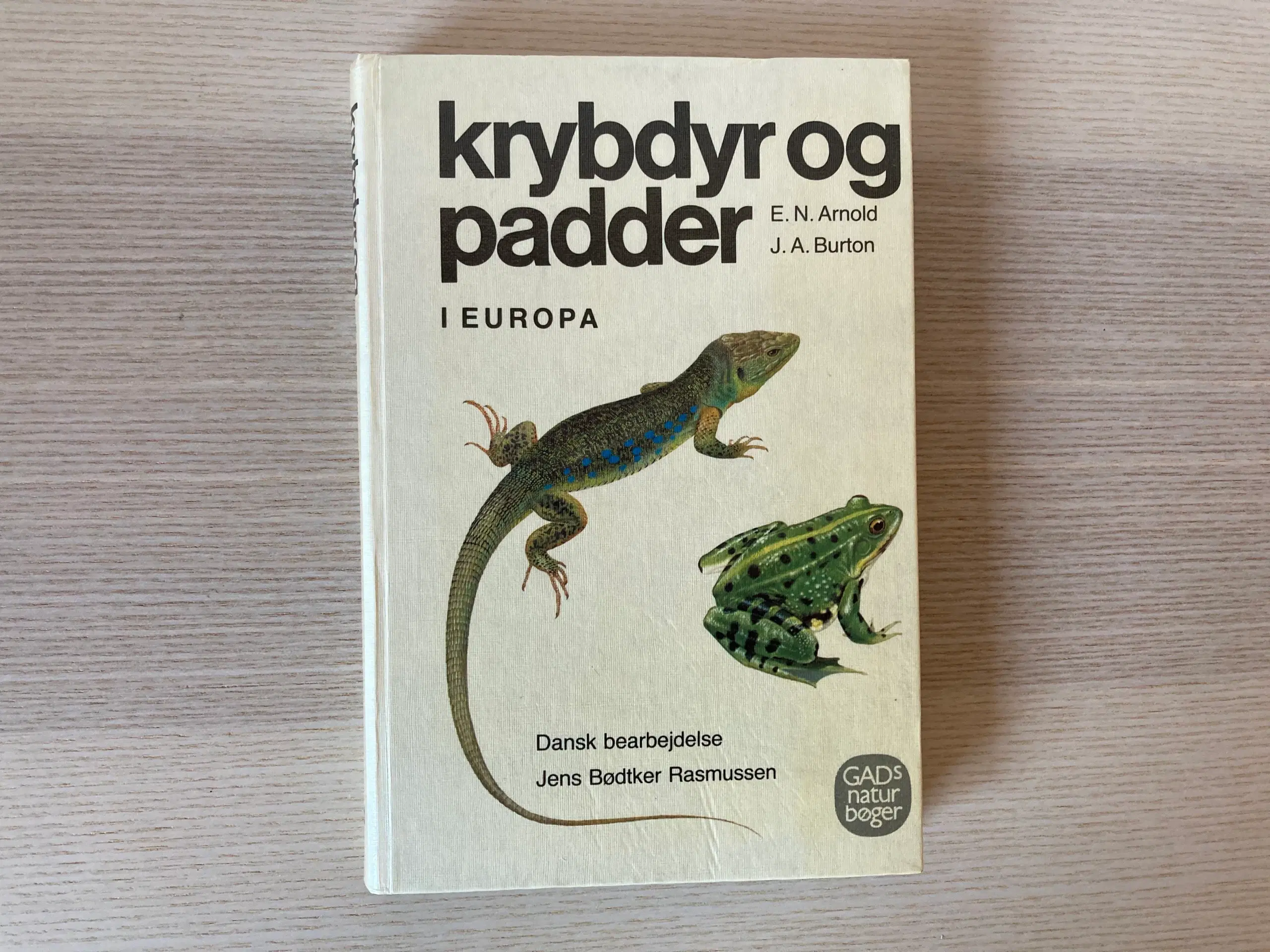 Krybdyr og padder i Europa - ENArnoldJABurton