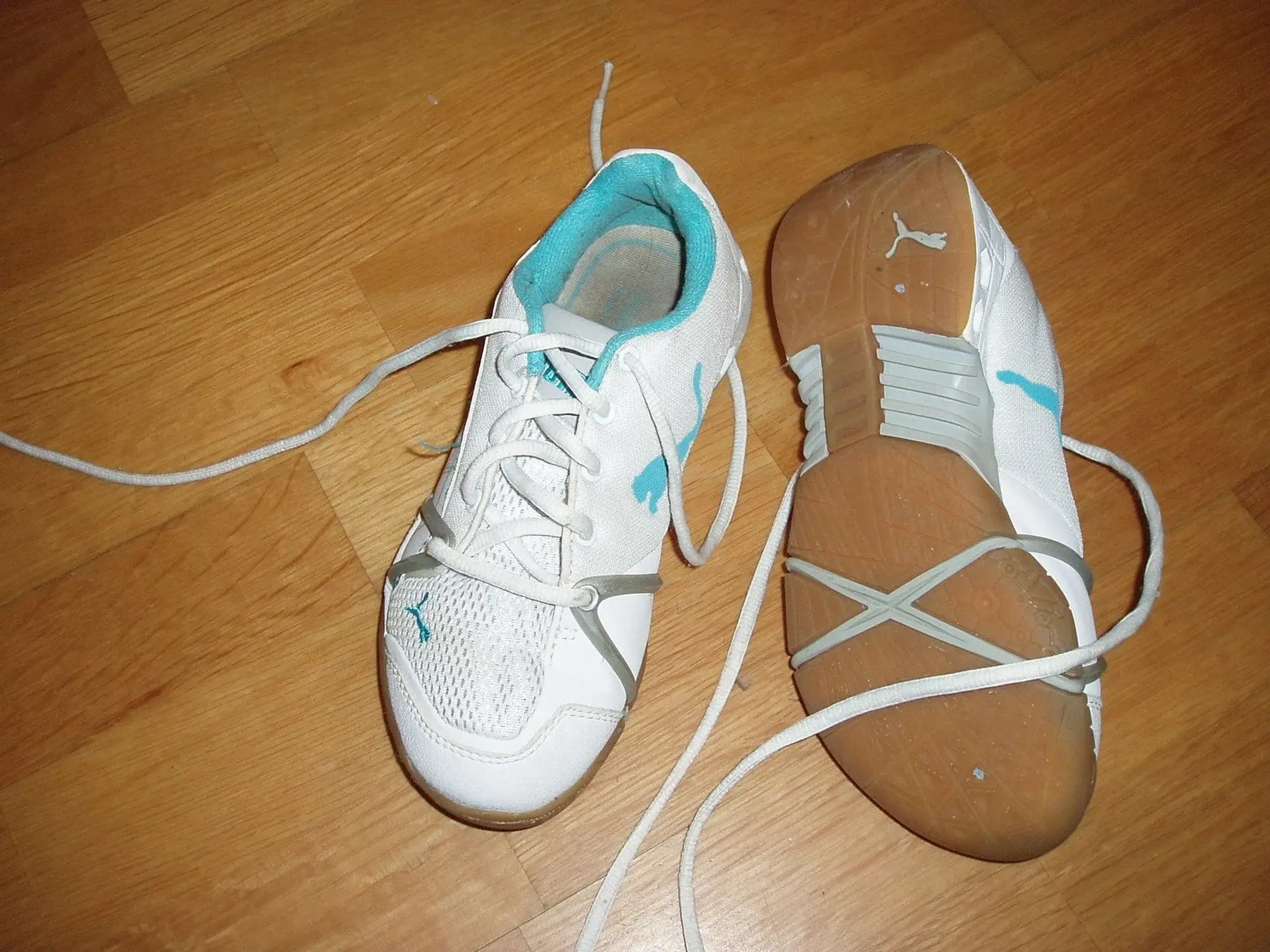 Puma kondisko str 34