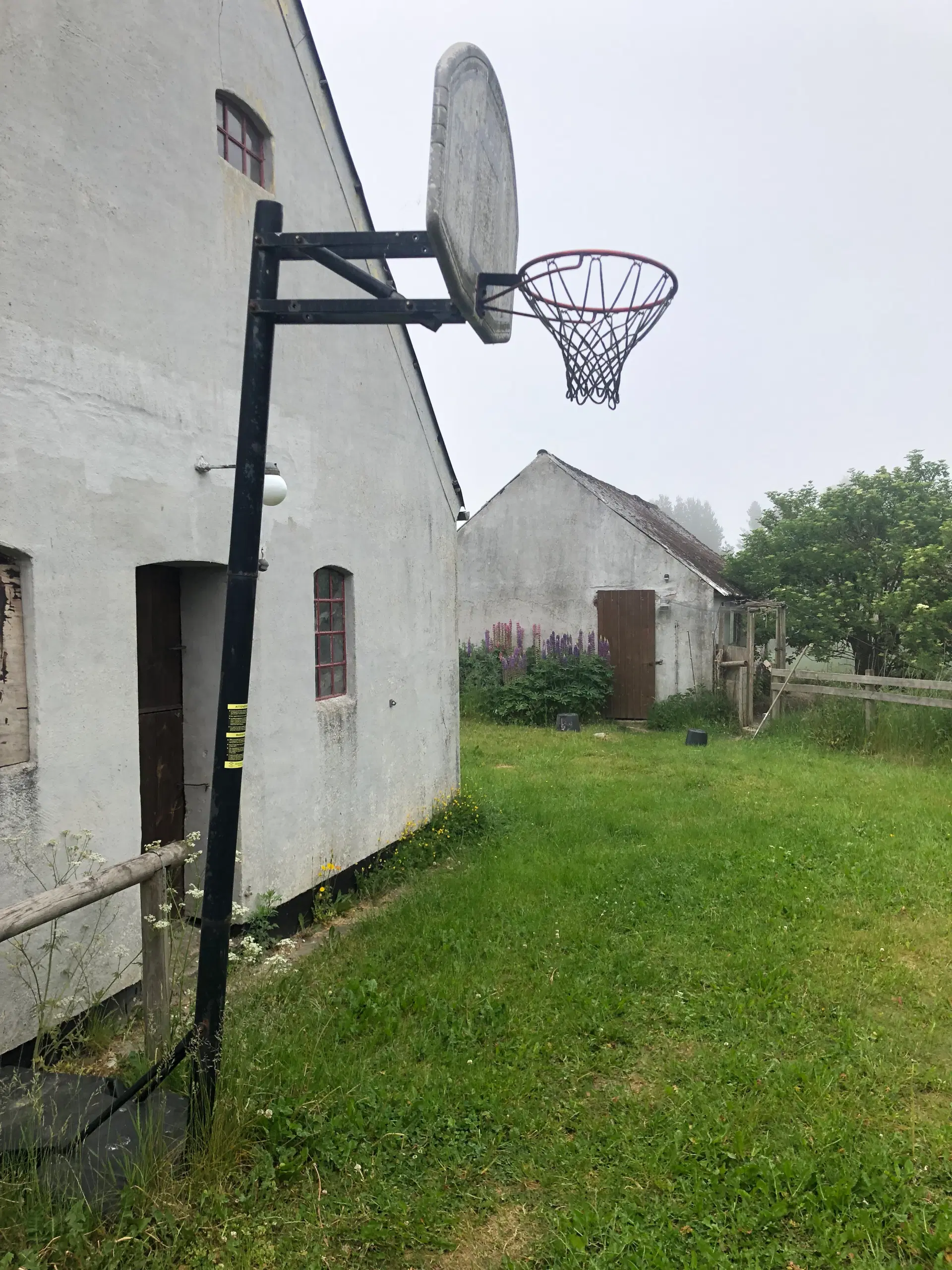 Basketball  kurv