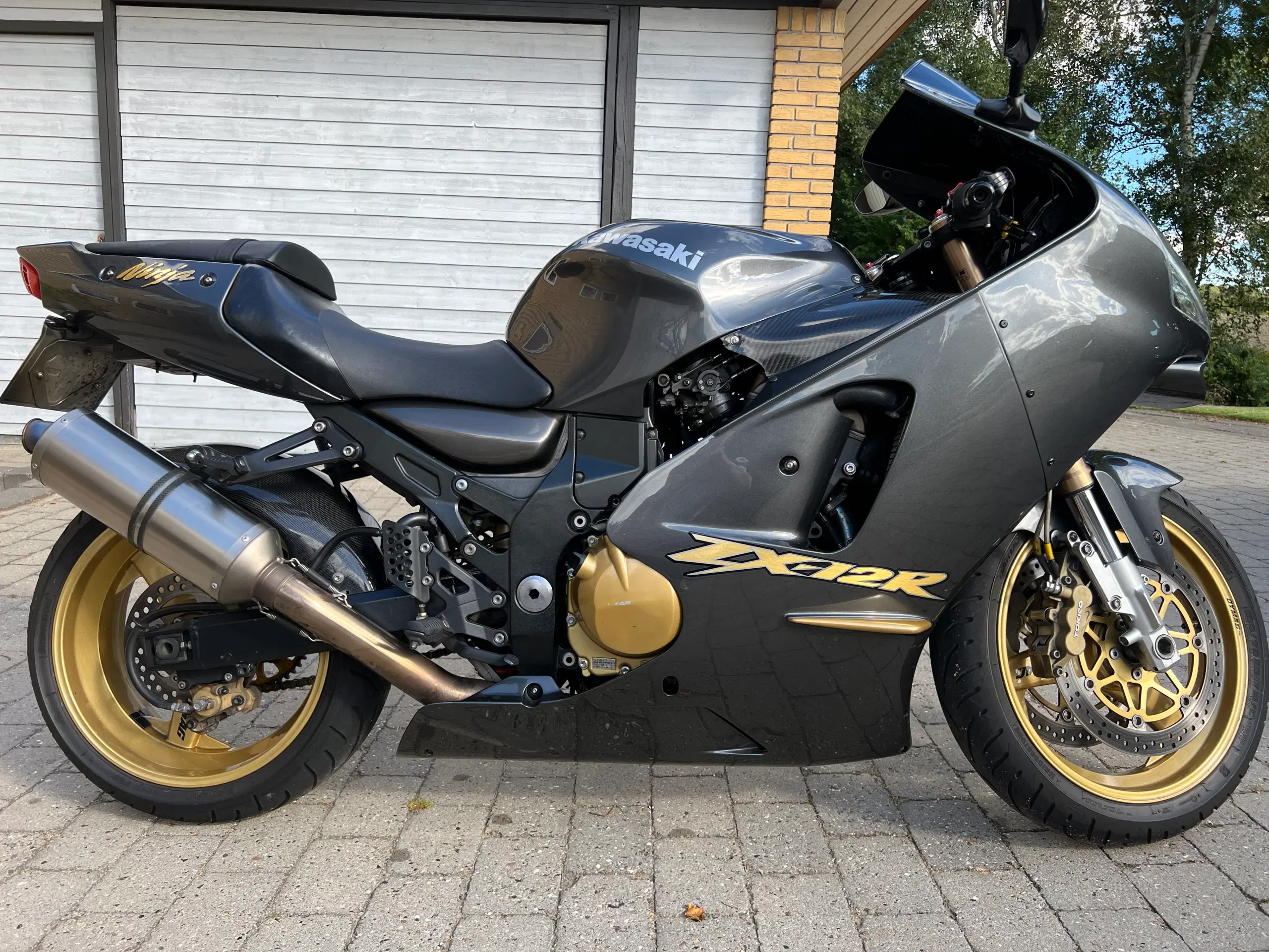 Kawasaki Ninja ZX12R