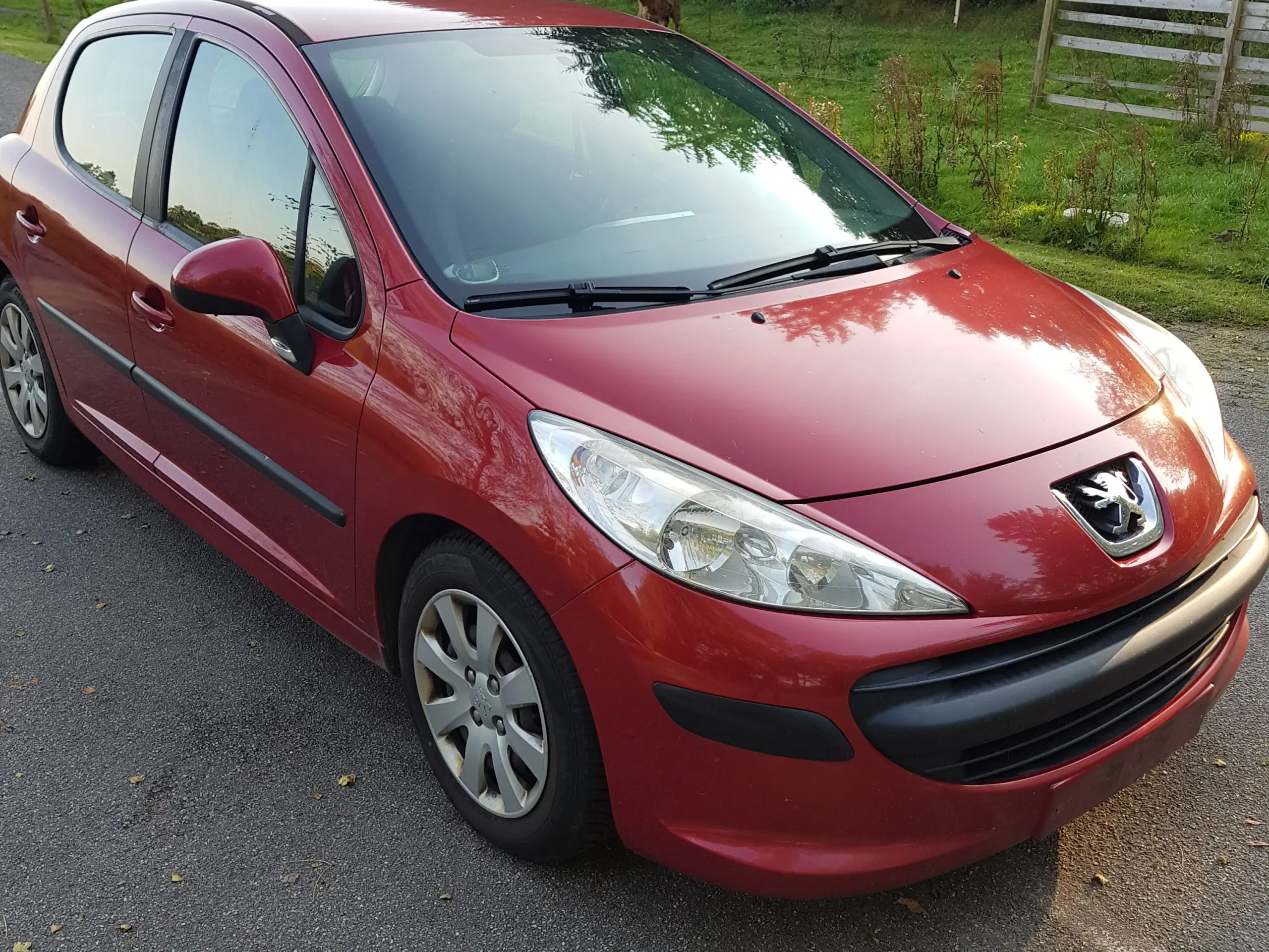 Peugeot 207 16 HDI ÅRG 2006