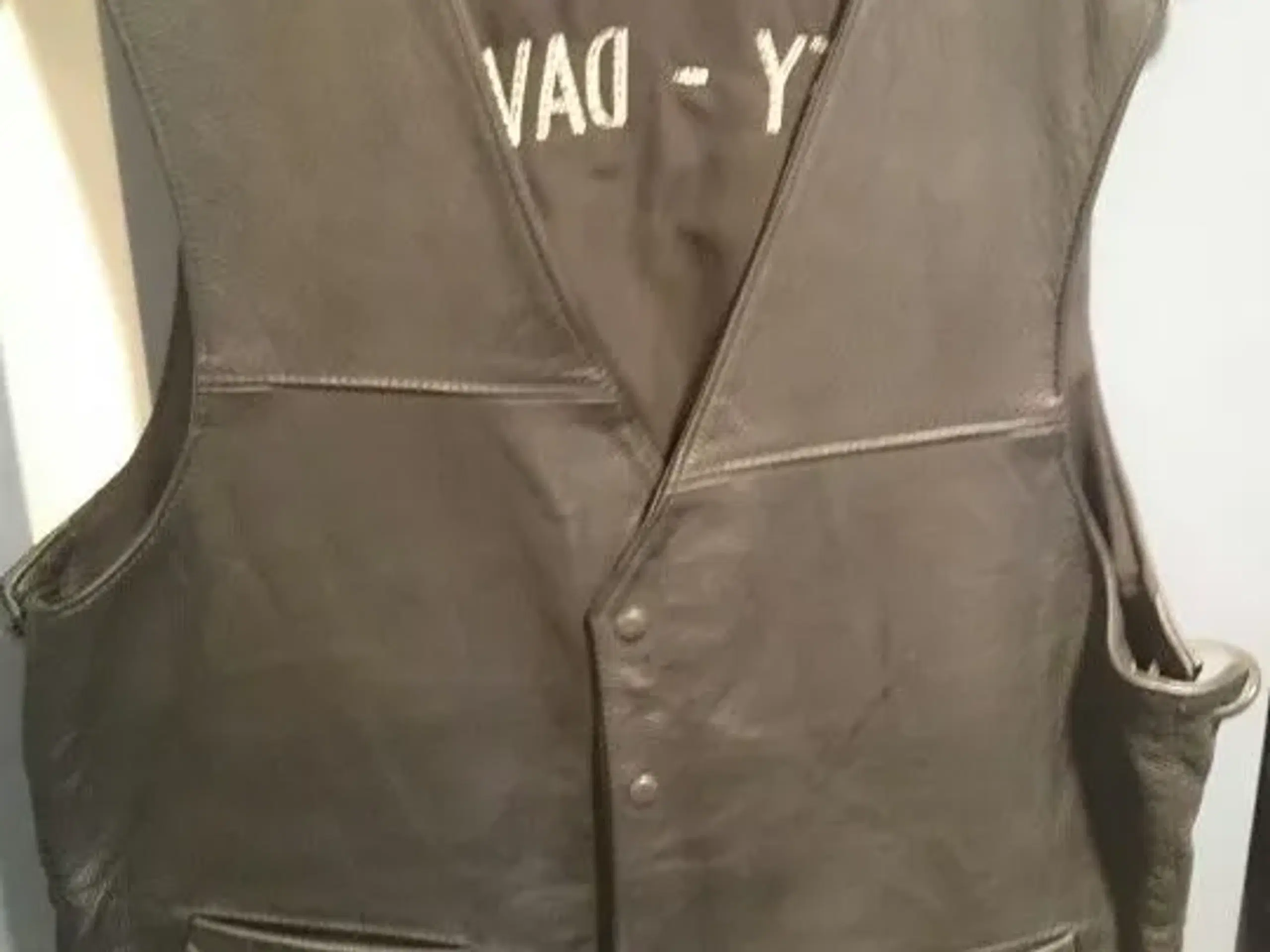 Vest