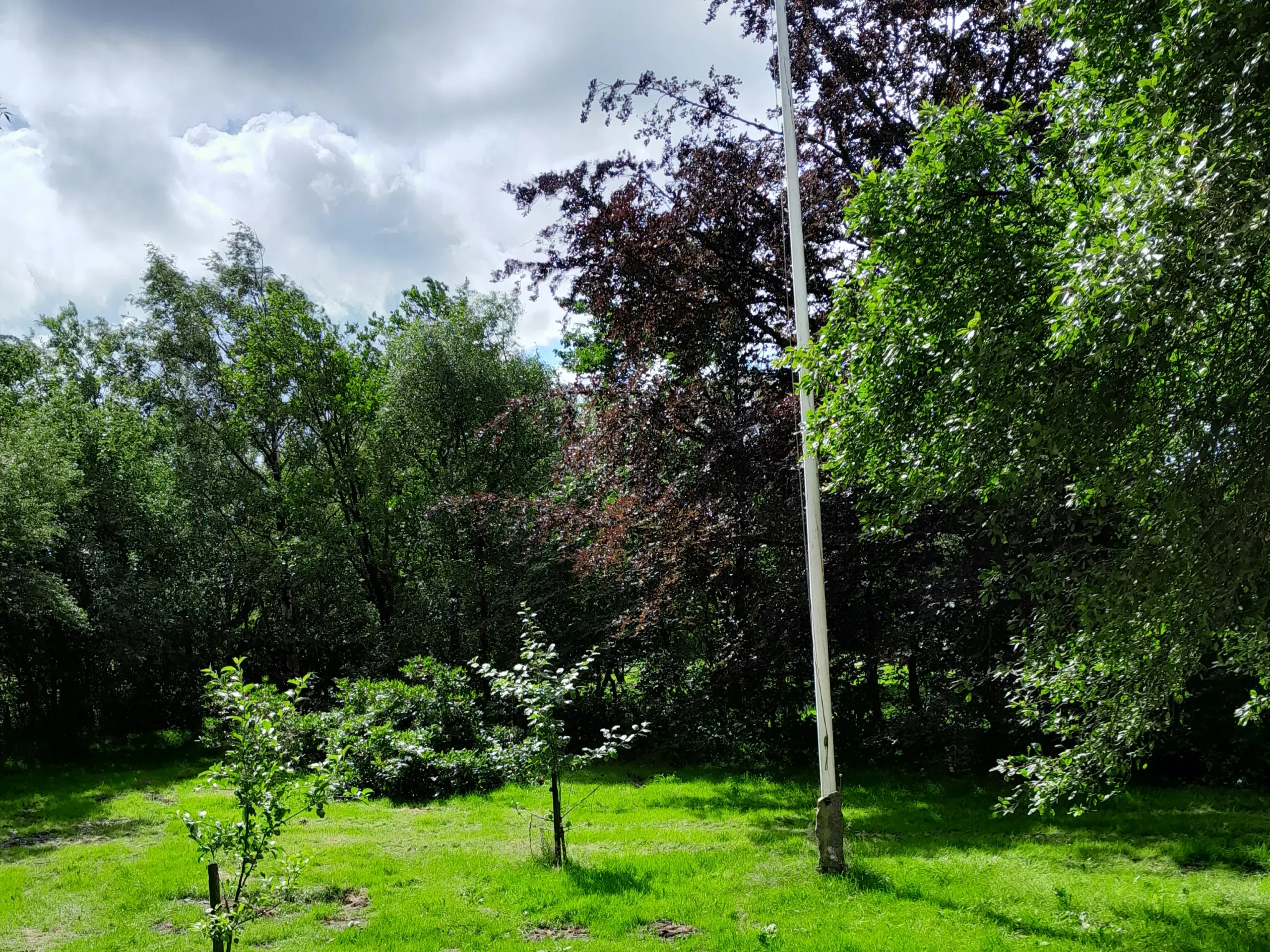 Fritidslandbrug ved  Hjørring/Lørslev