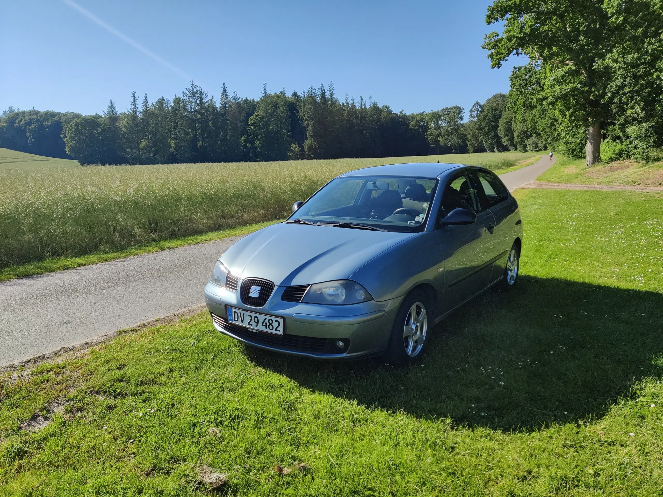 Seat Ibiza 14 Benzin 2006