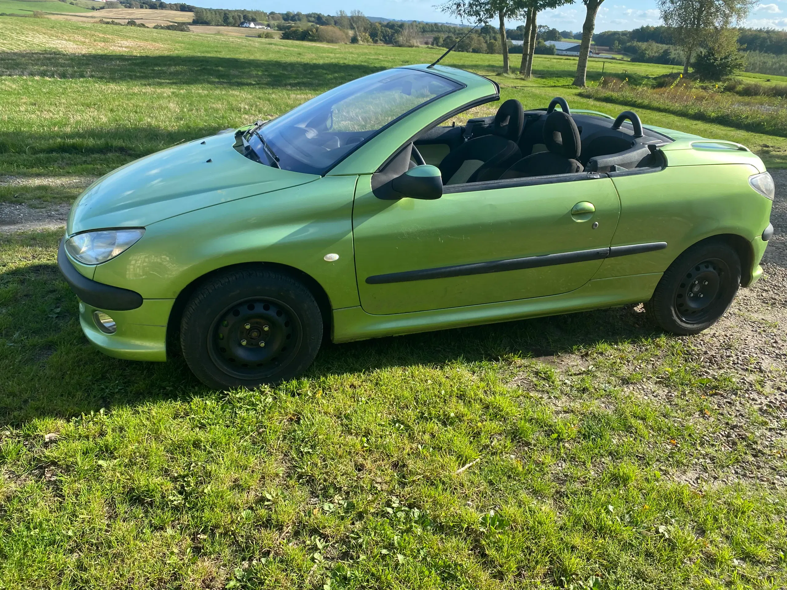 Peugeot 206cc