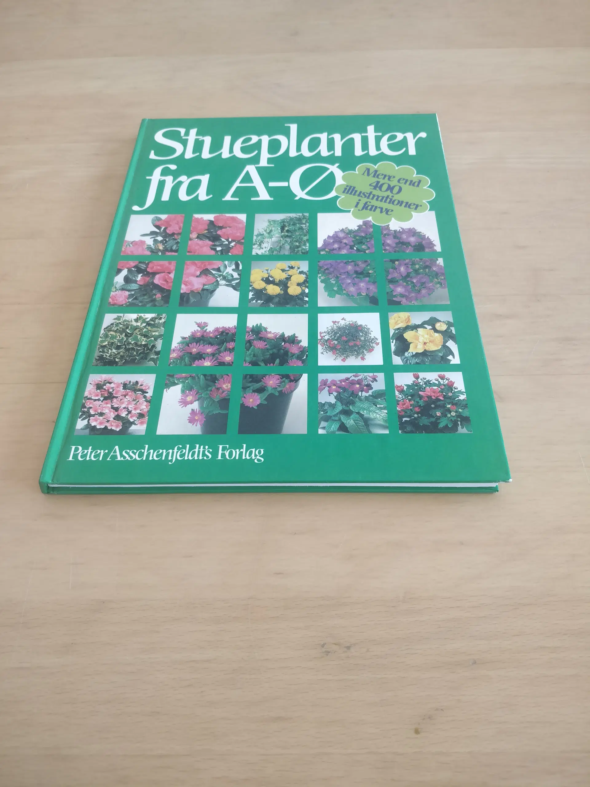 Stueplanter