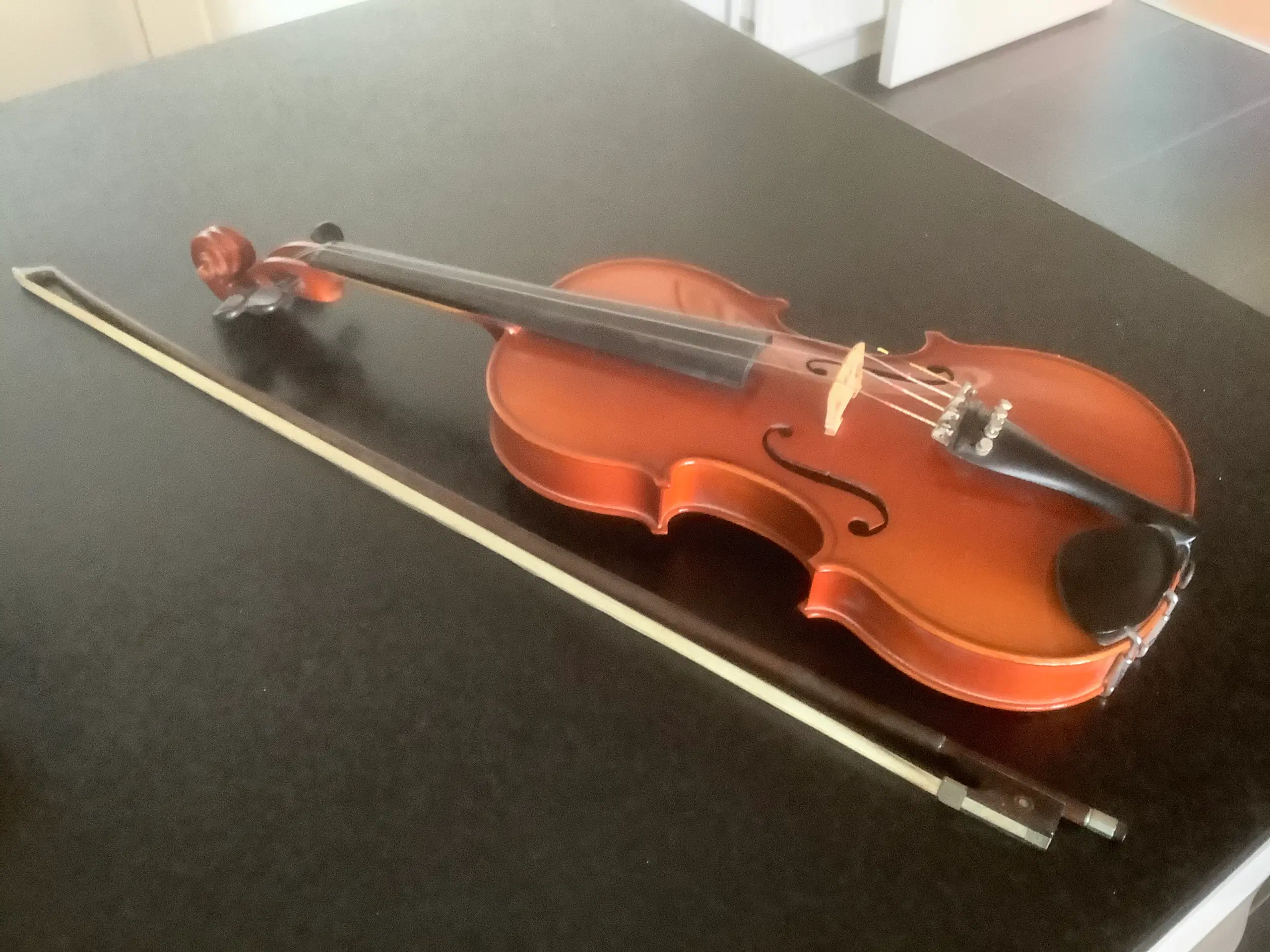 Violin