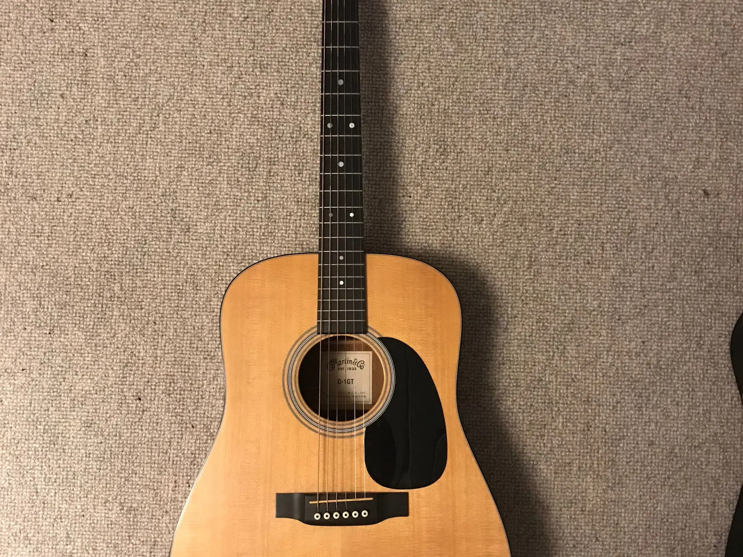 Martin guitar D-1GT