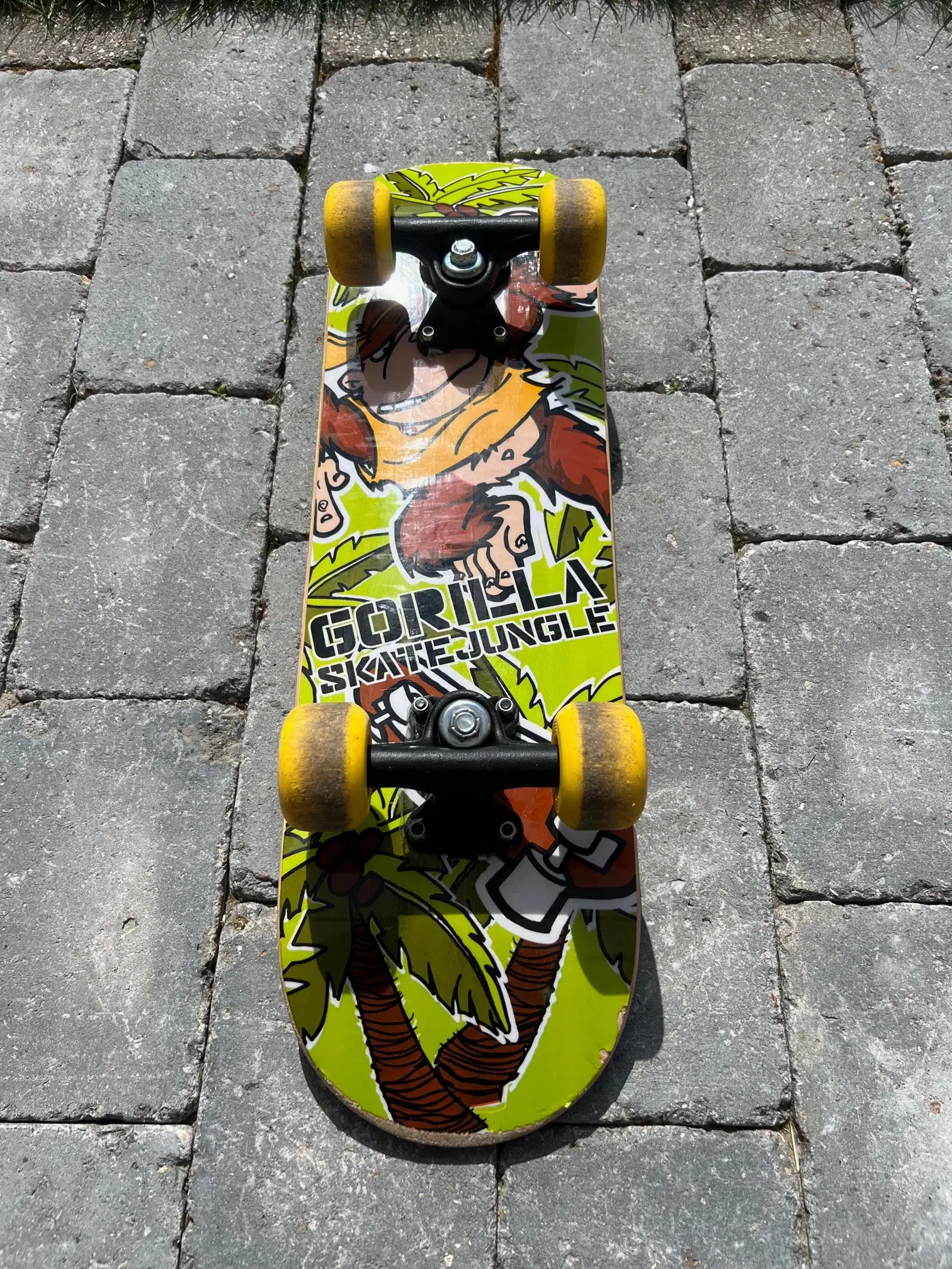 Skateboard