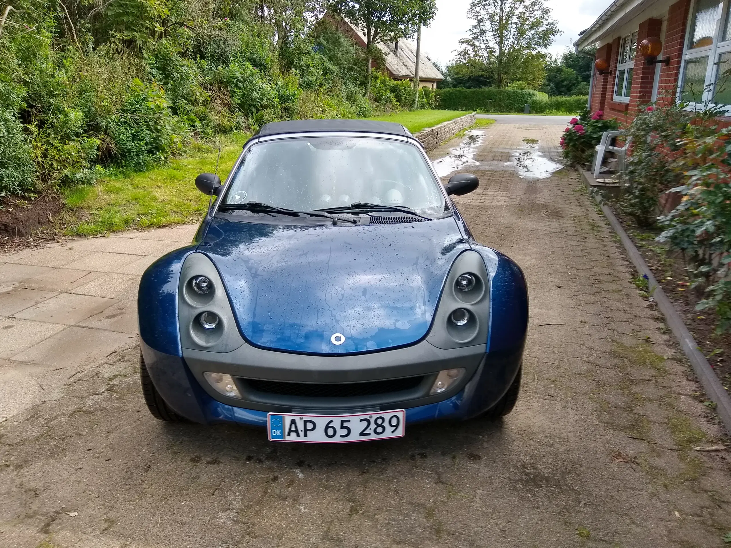 smart roadster