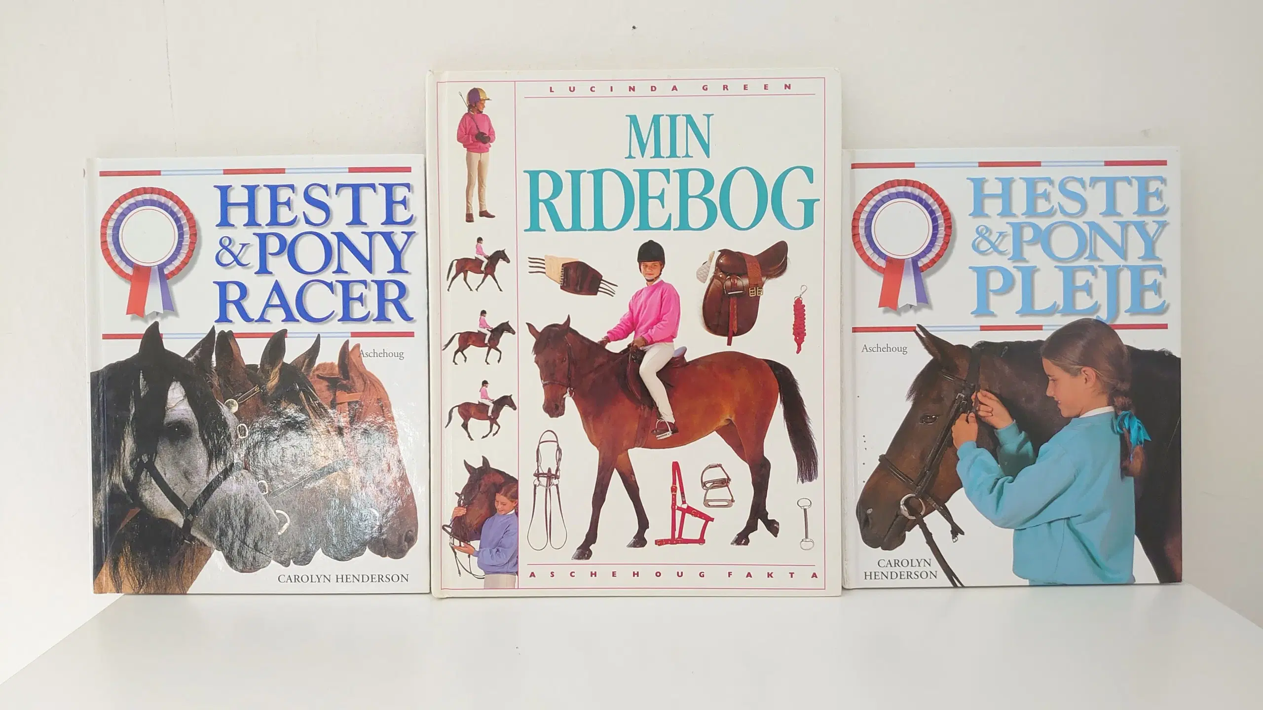 Hestebøger:Min ridebog heste og pony racer/pleje