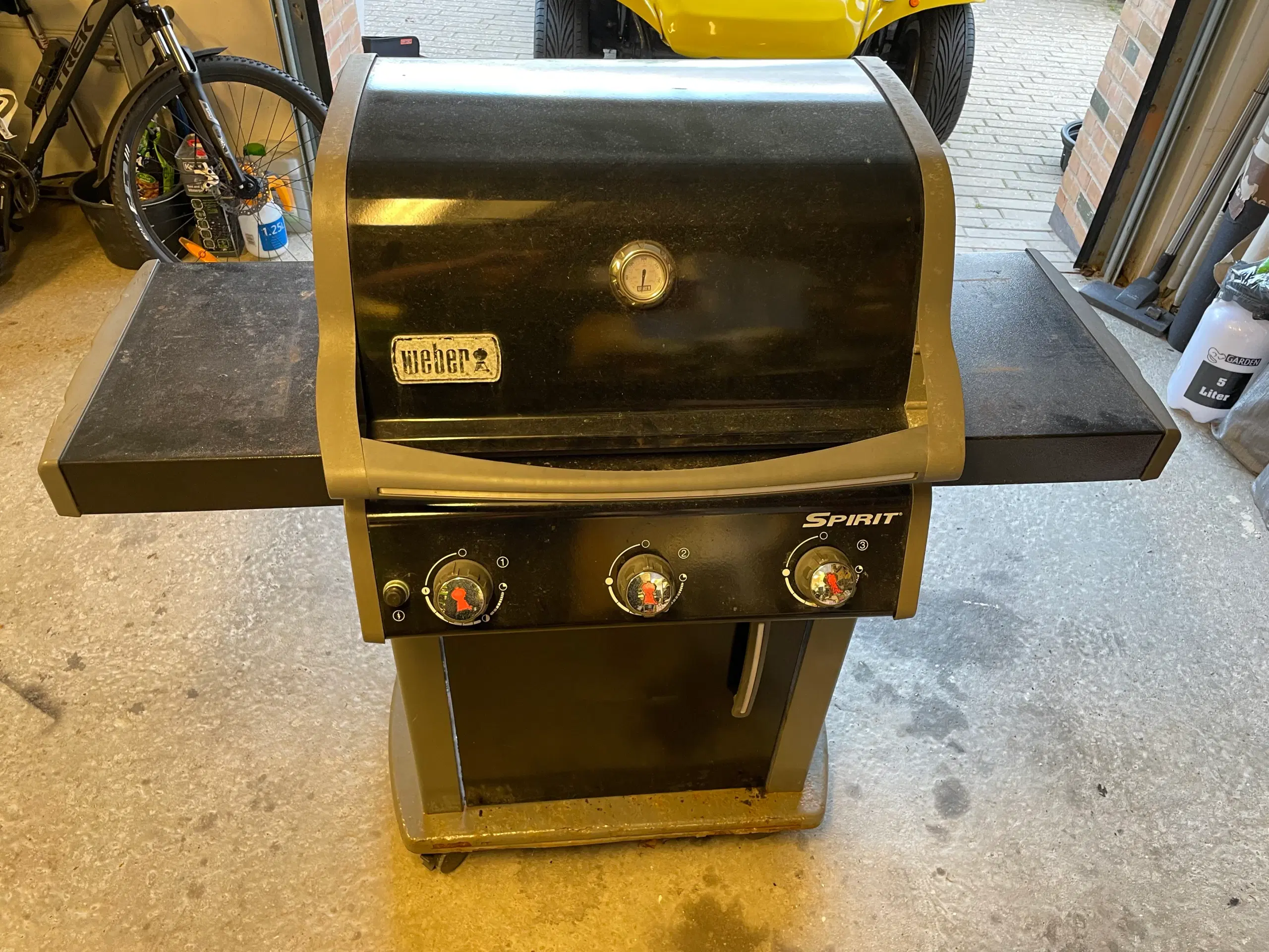 Weber Spirit E-310