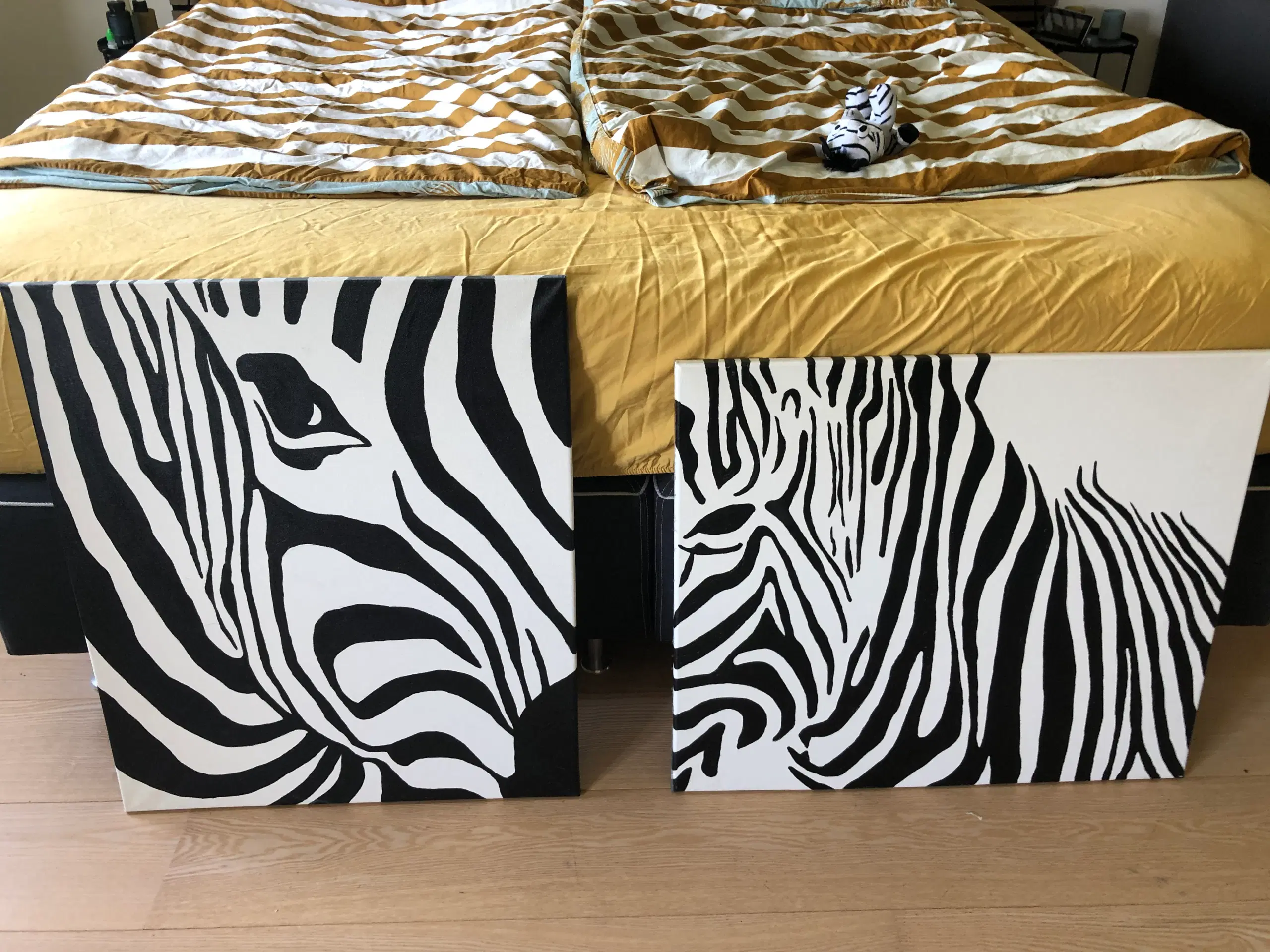 Zebra billeder