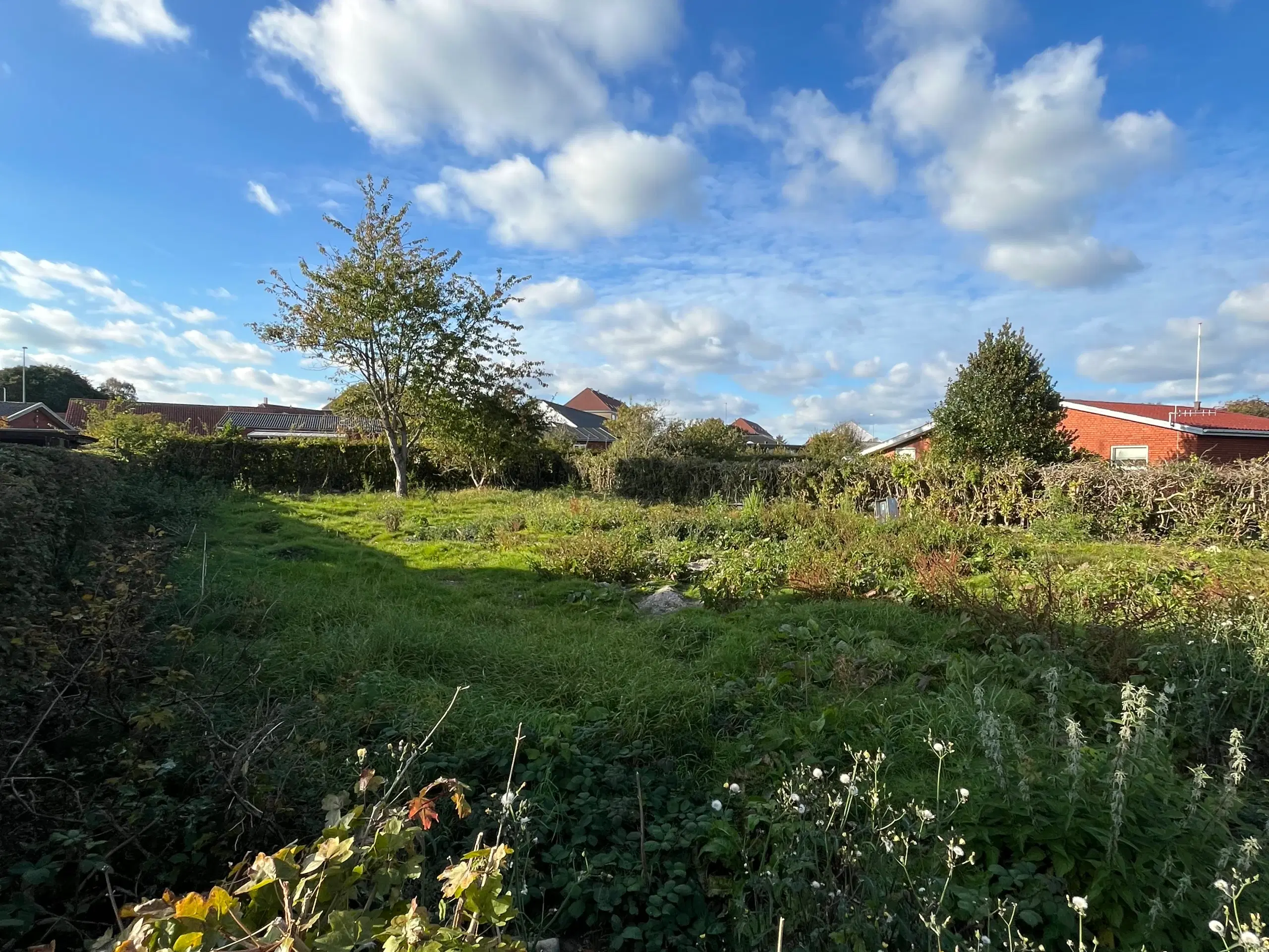 Byggegrund i Bangsbostrand, Frederikshavn 9900