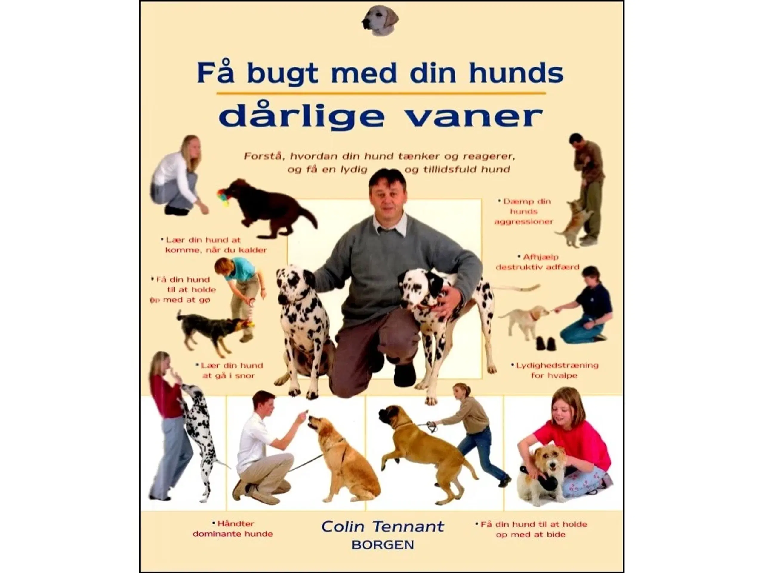 Få bugt med din Hunds dårlige Vaner