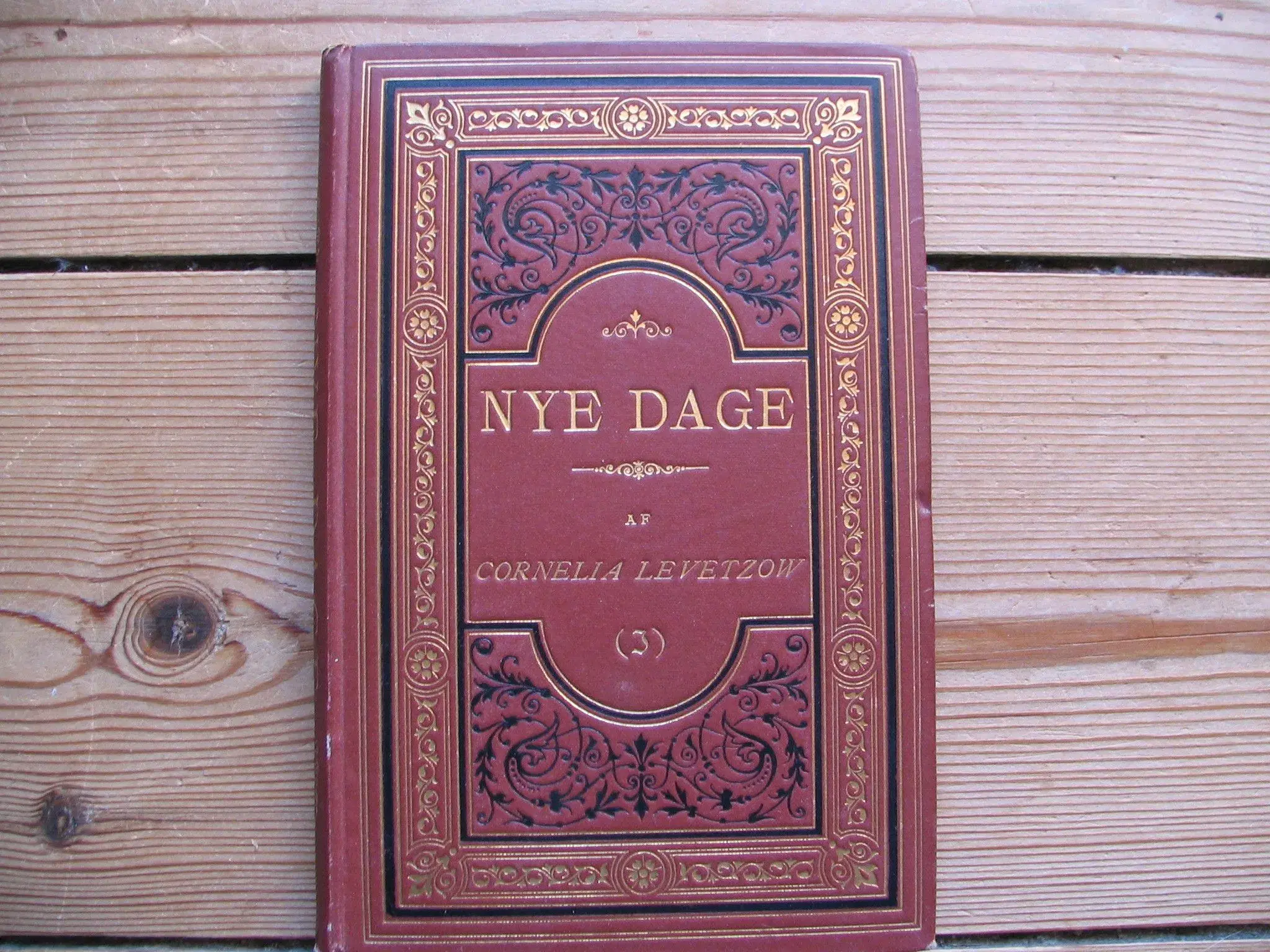 Nye dage fra 1893