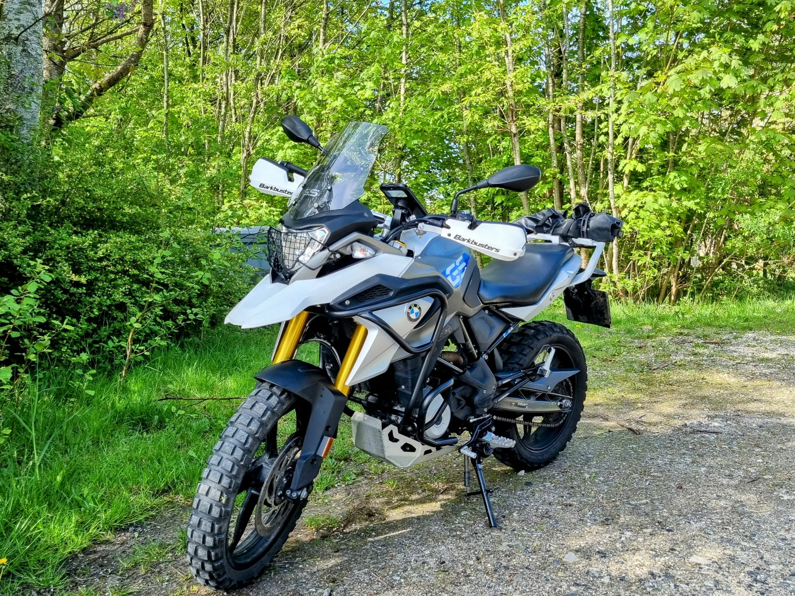 BMW G310GS