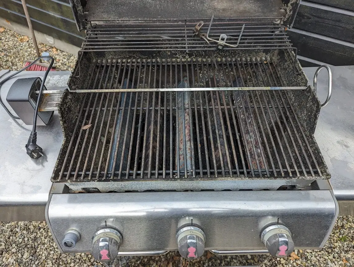 Weber Genesis