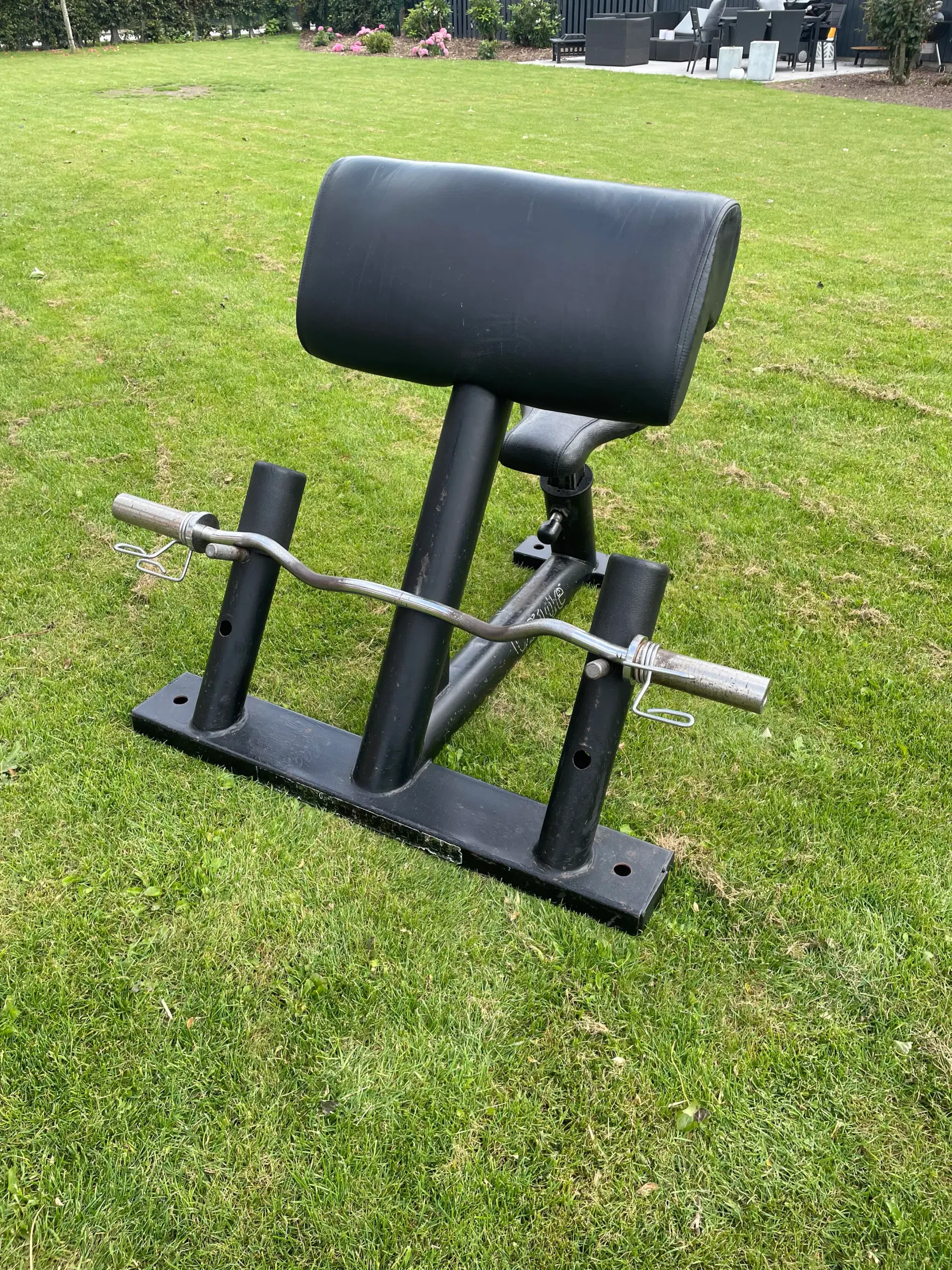 Preacher curl med stang