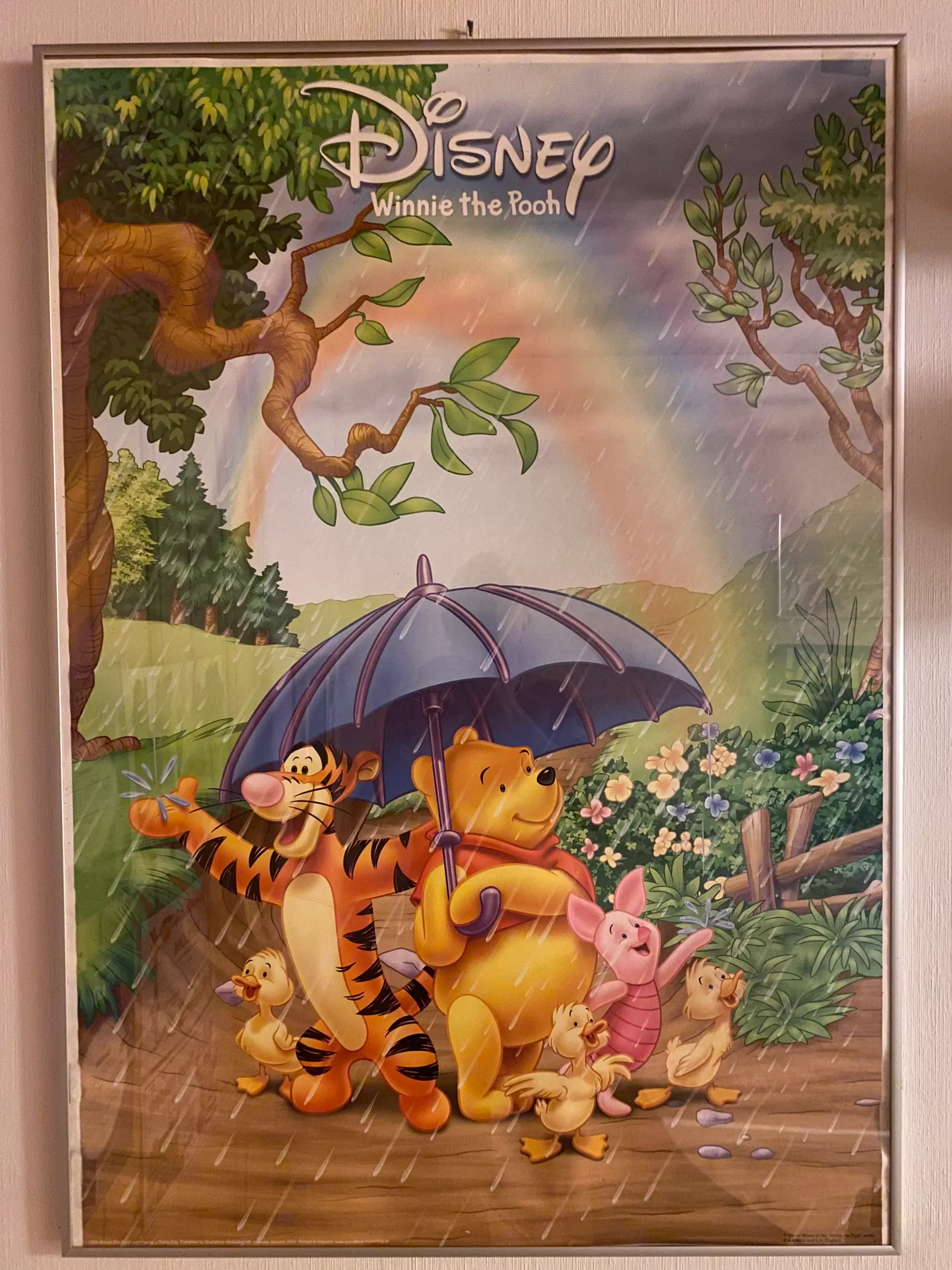 Peter Plys / Winnie The Pooh plakat med ramme