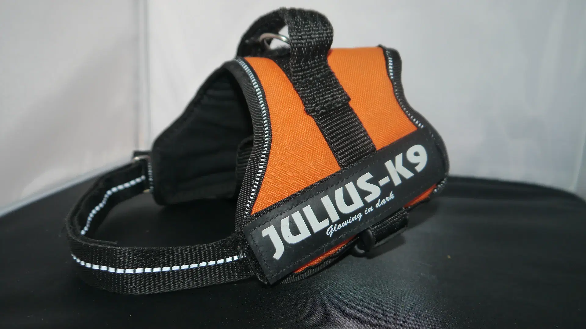 Hundesele Julius - k9 S mini mini + Hundesnor  B