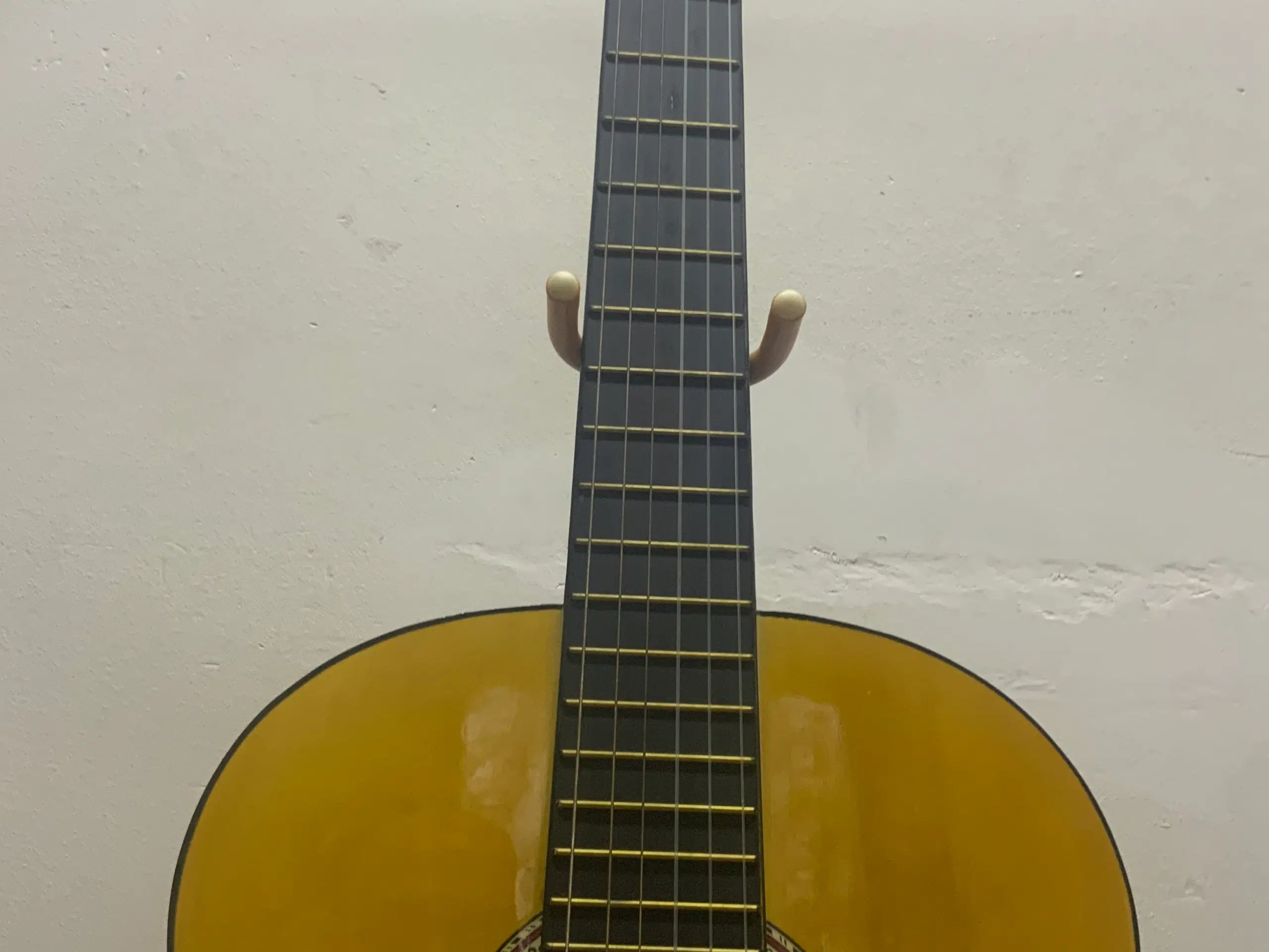 God akustik guitar