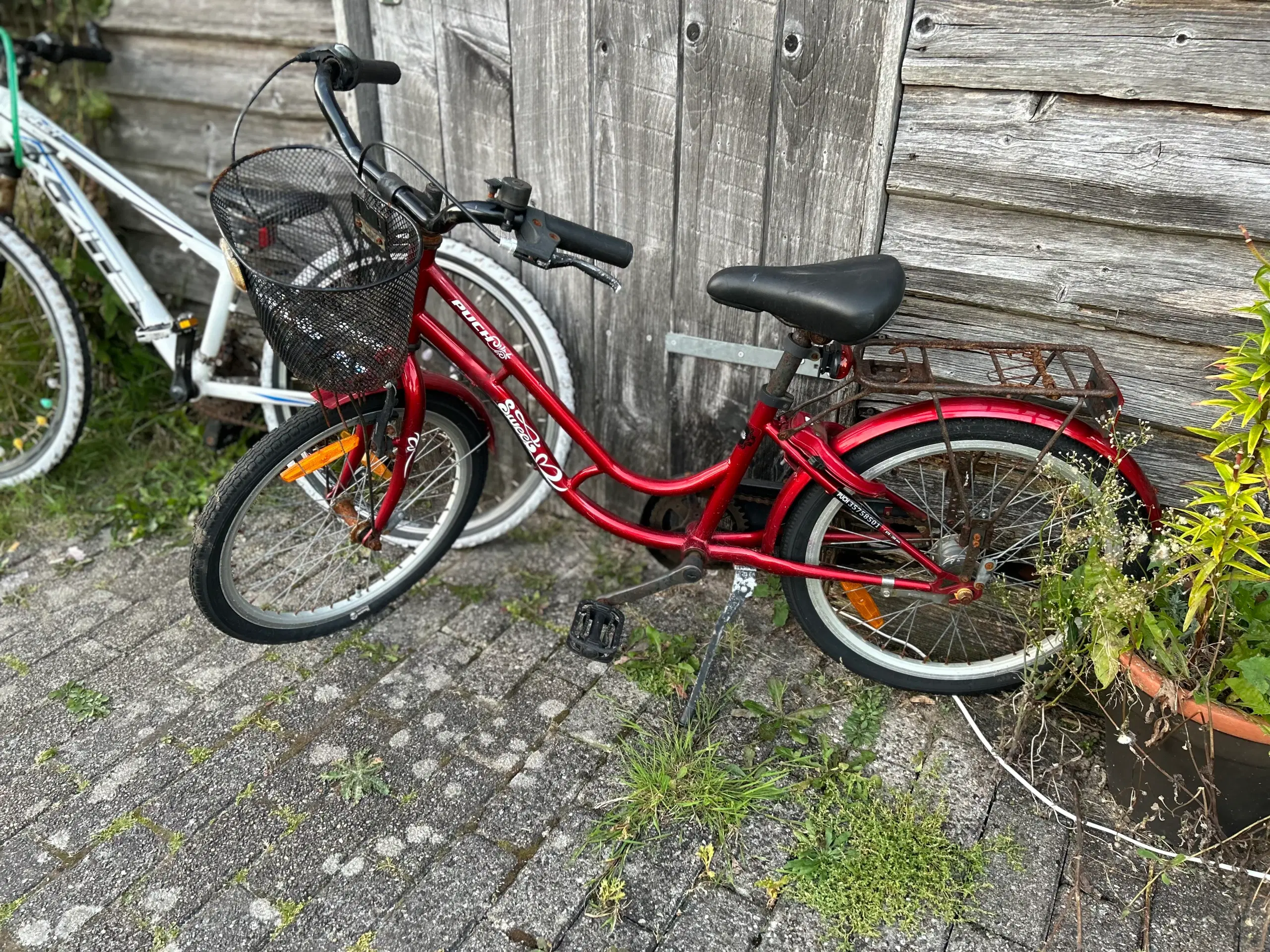 Børnecykler