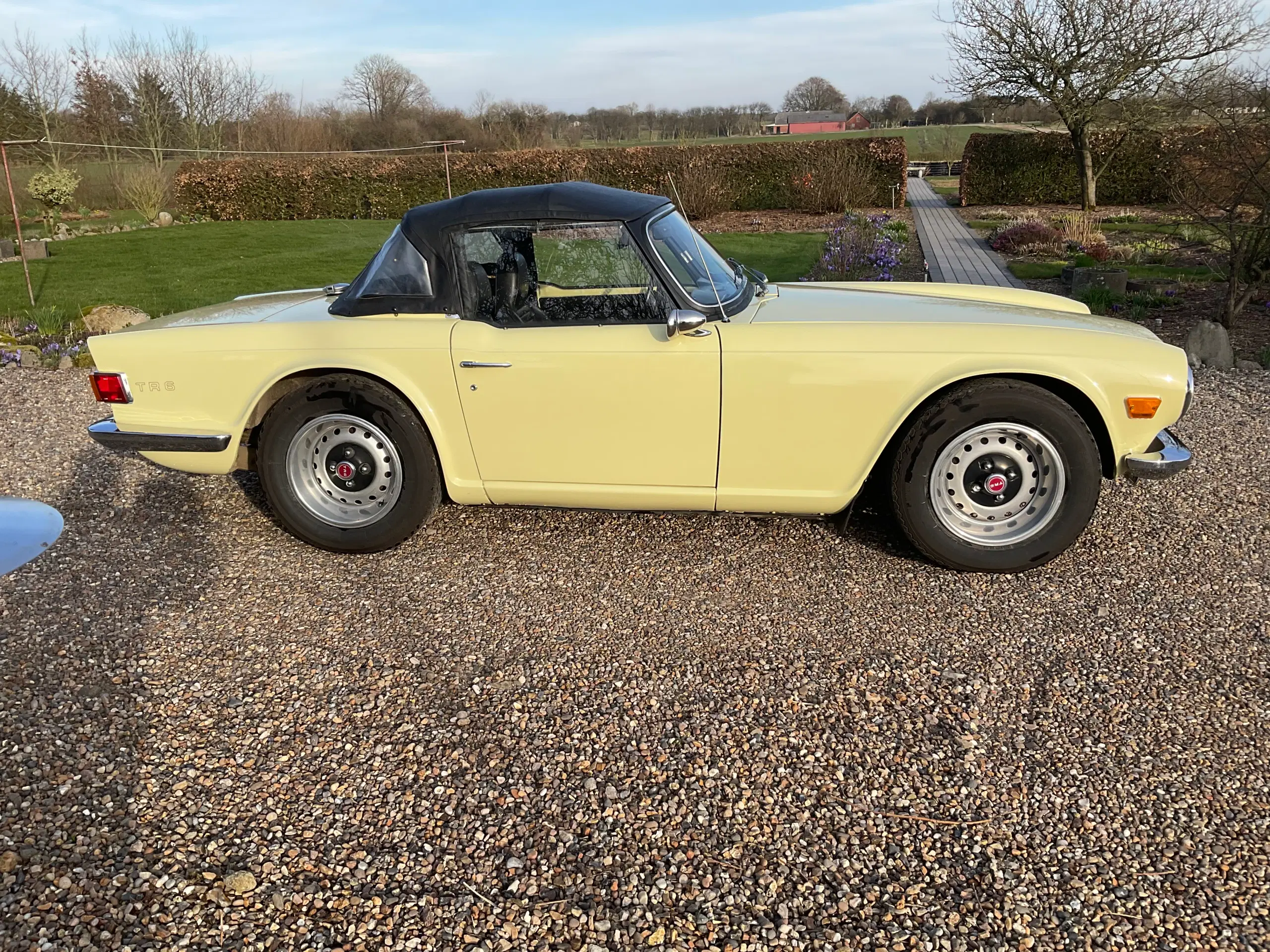 Triumph TR 6