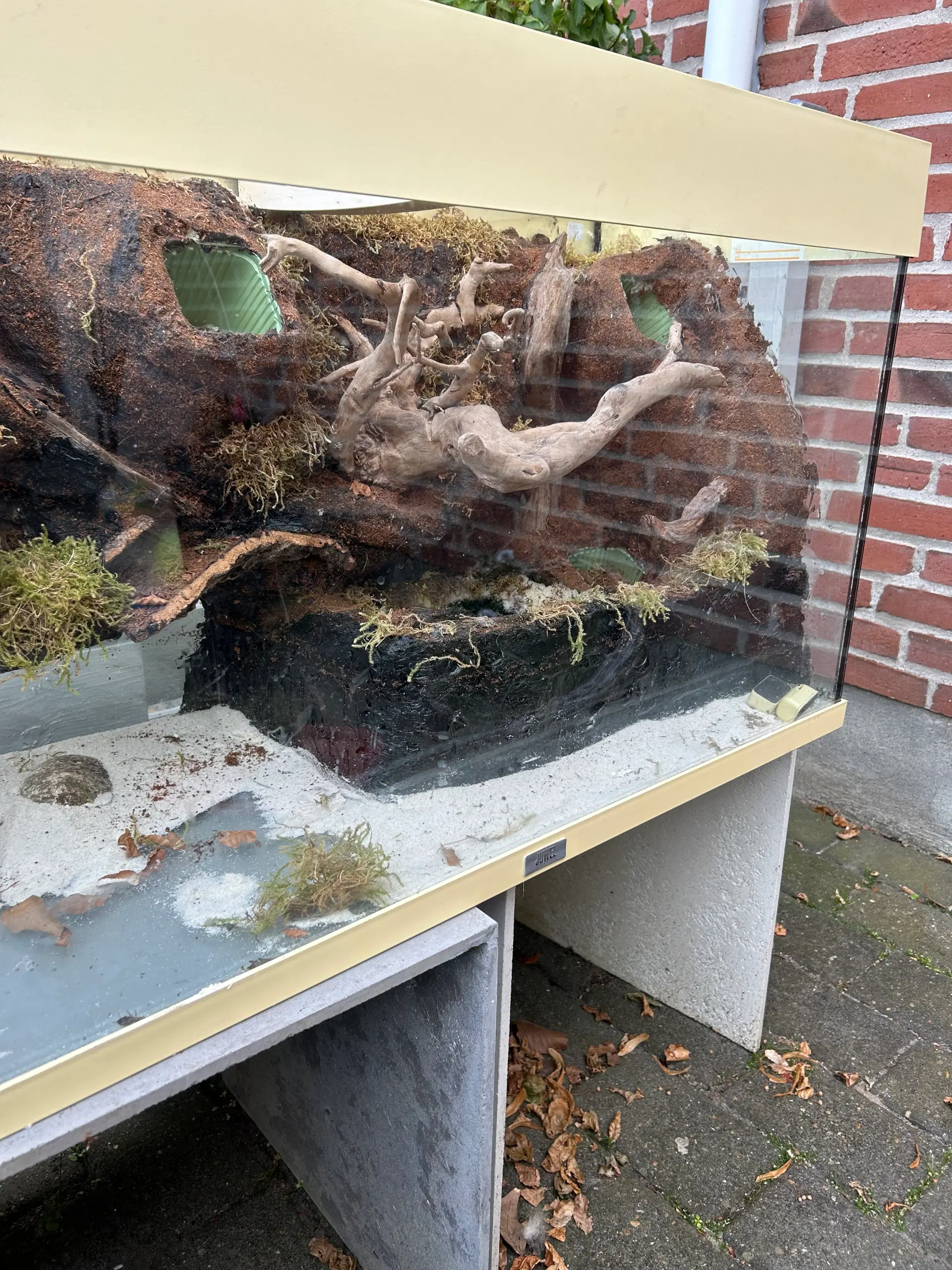 Paludarium sælges