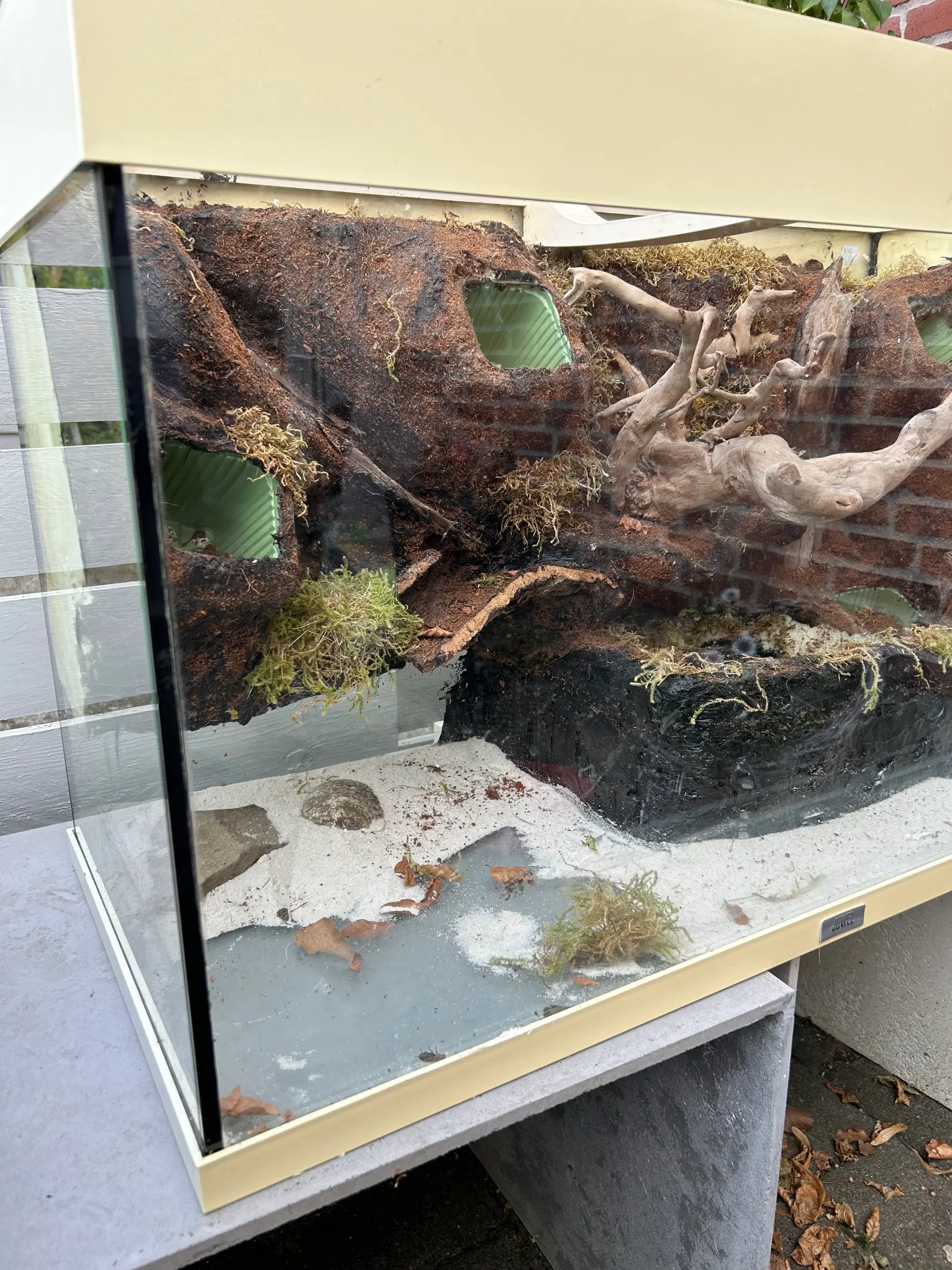 Paludarium sælges