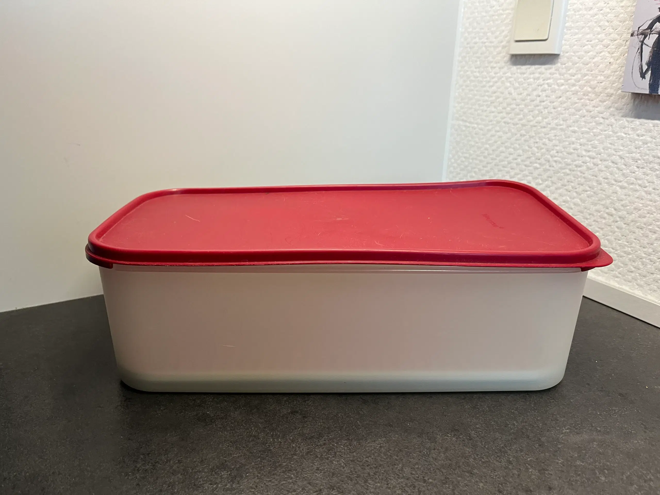 Tupperware beholder m indsats