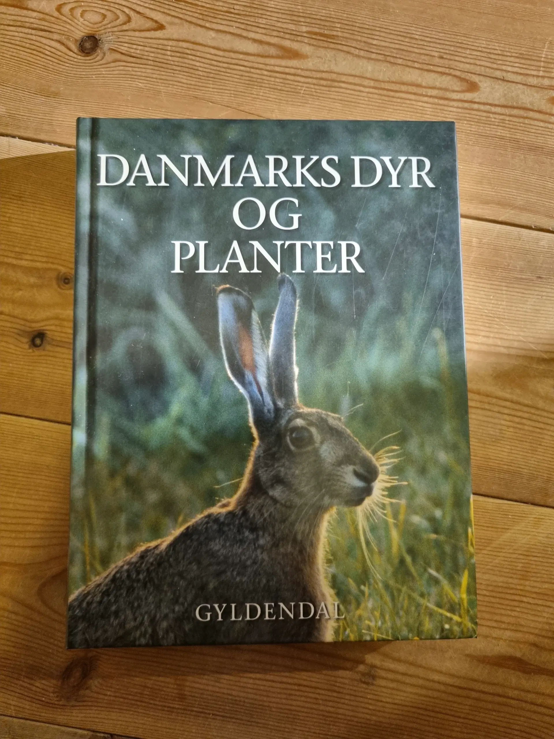 Danmarks dyr og planter