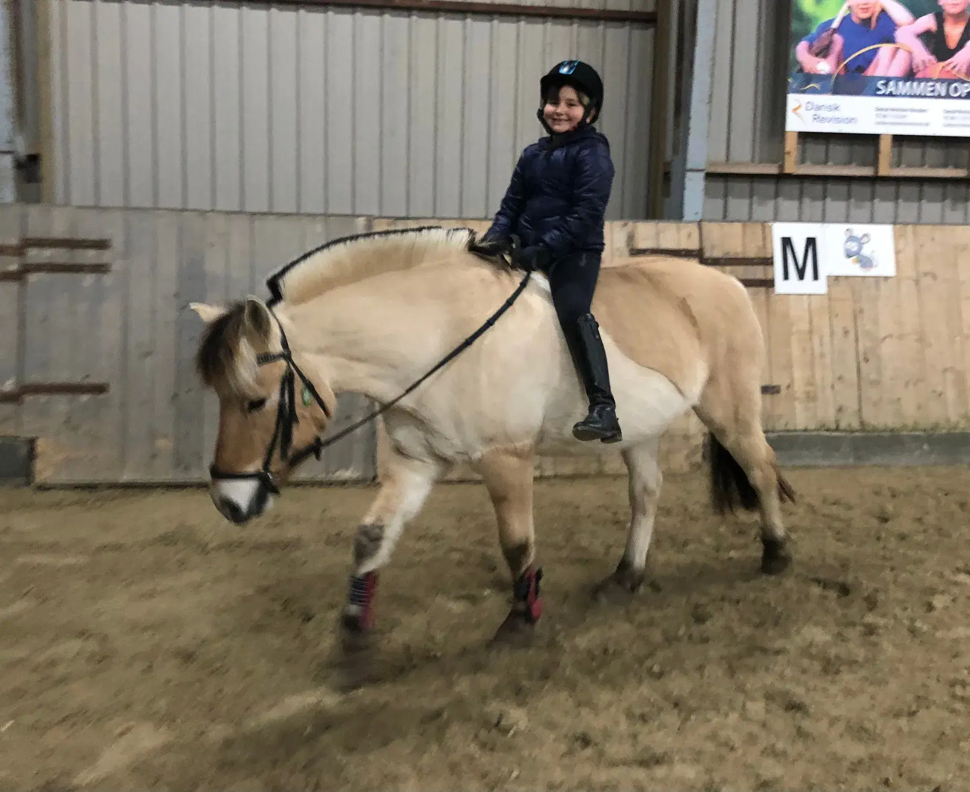 Pony søges gerne udlån med forkøbsret